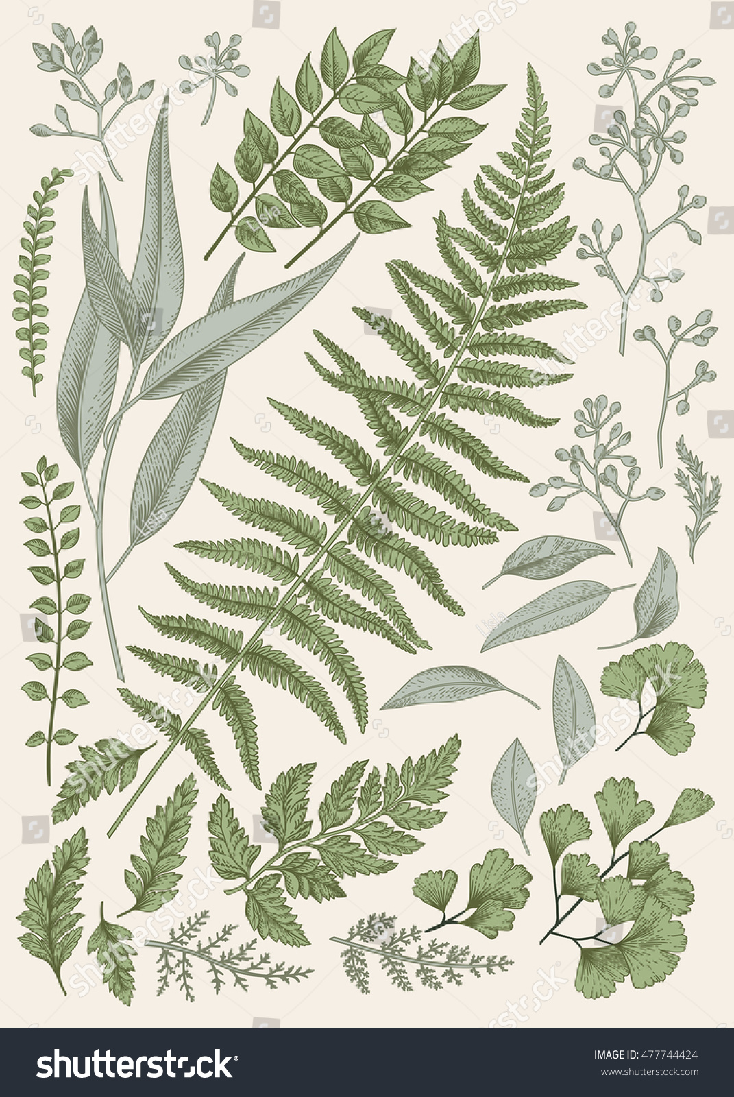 Leaf Set Vintage Floral Background Vector Stock Vector Royalty Free 477744424 Shutterstock Leaf Set Vintage Floral Background Vector Stock Vector Royalty Free 477744424 Shutterstock