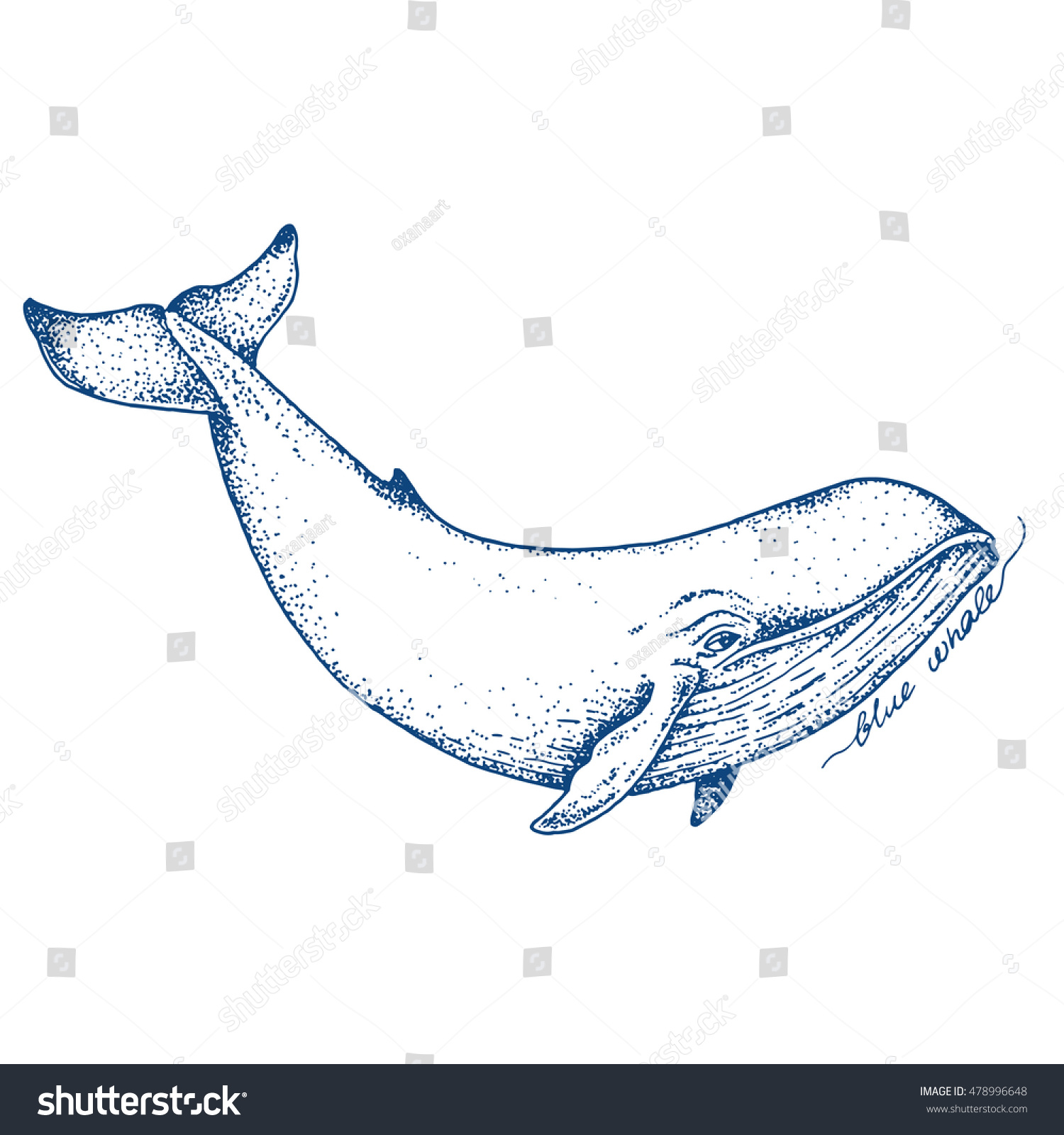 Синий кит трафарет