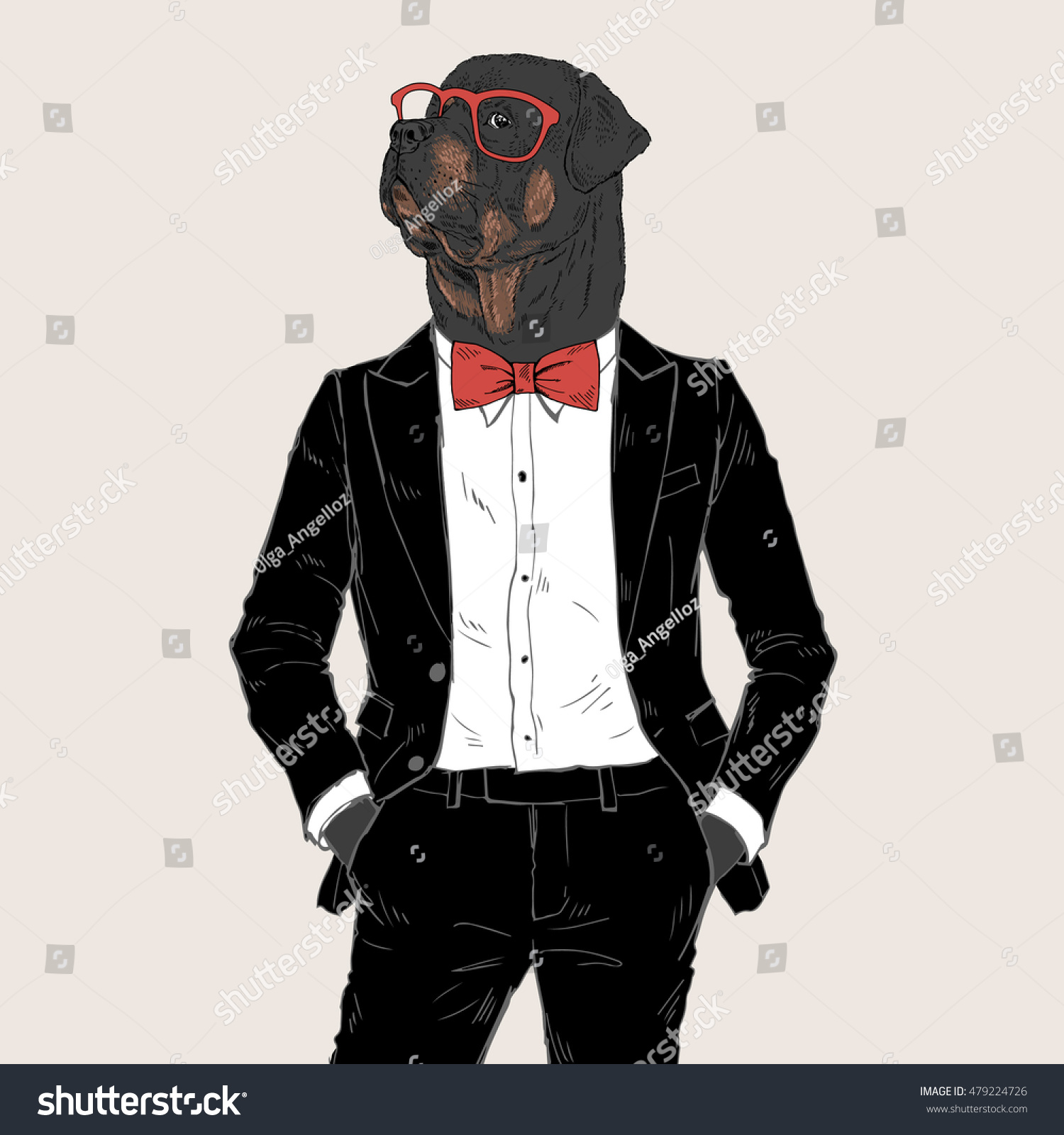 Rottweiler Dressed Tuxedo Anthropomorphic Illustration Fashion Stock ...