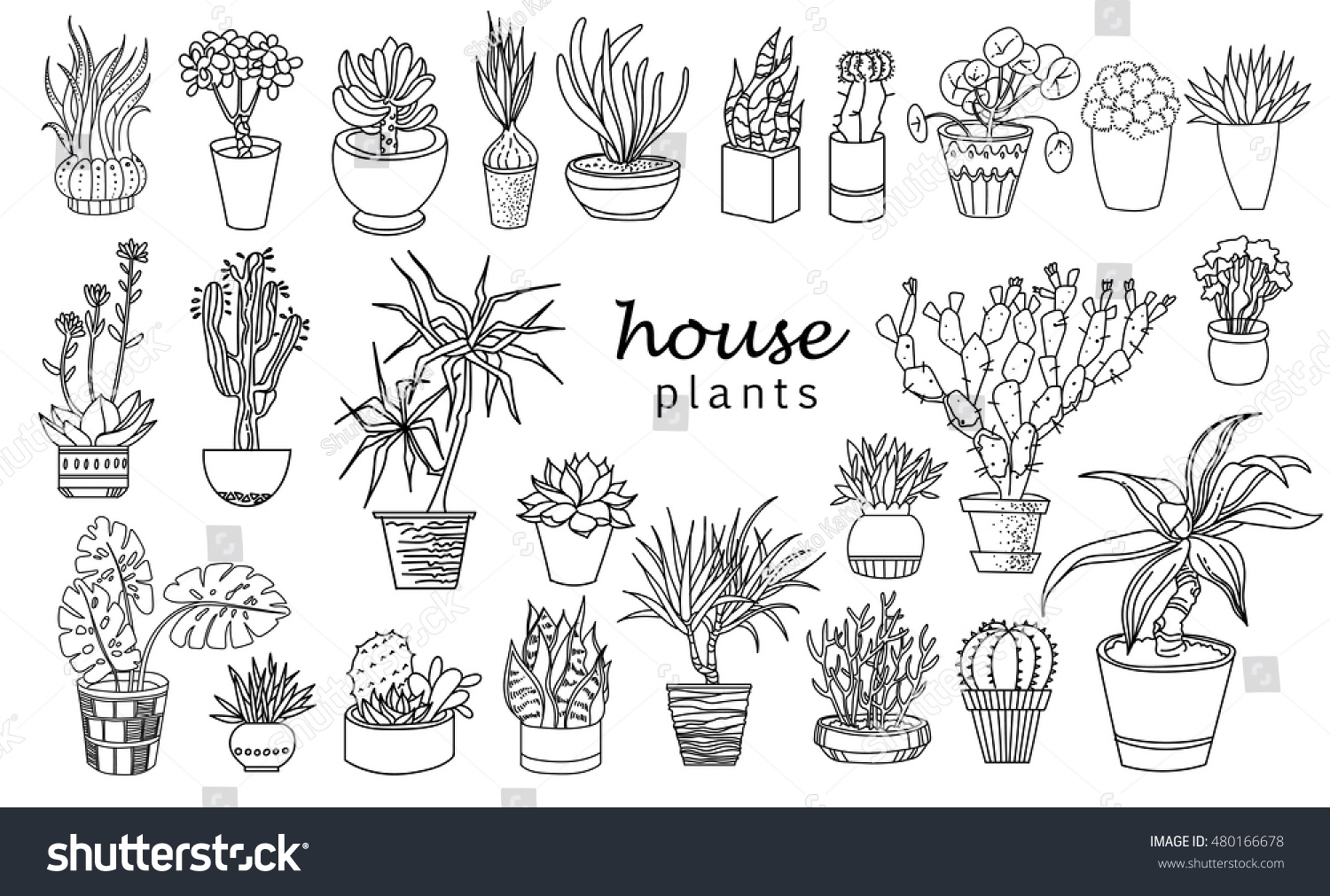 Растения в кашпо в графике