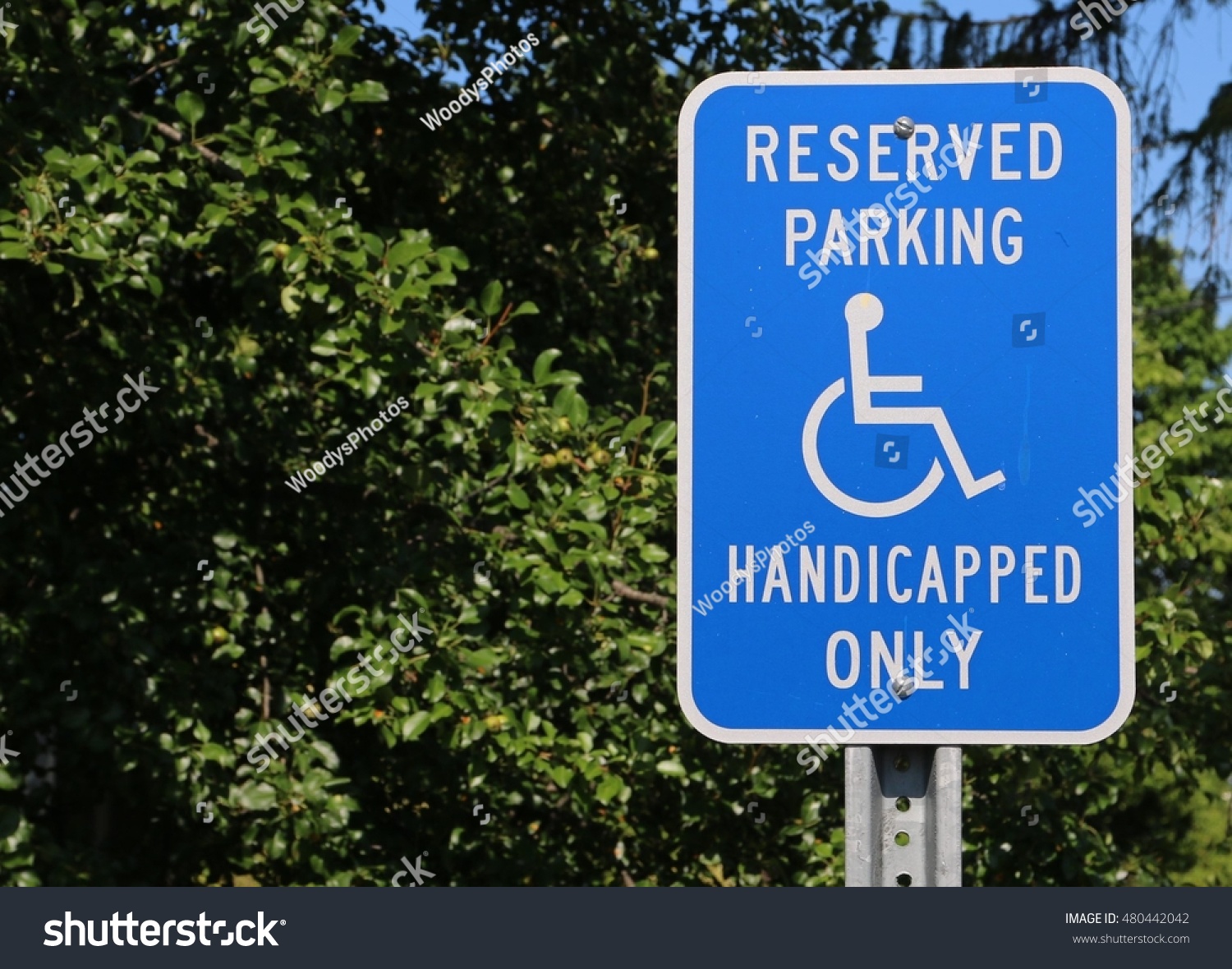 Reserved Parking Handicapped Only Sign Stock Photo 480442042 | Shutterstock