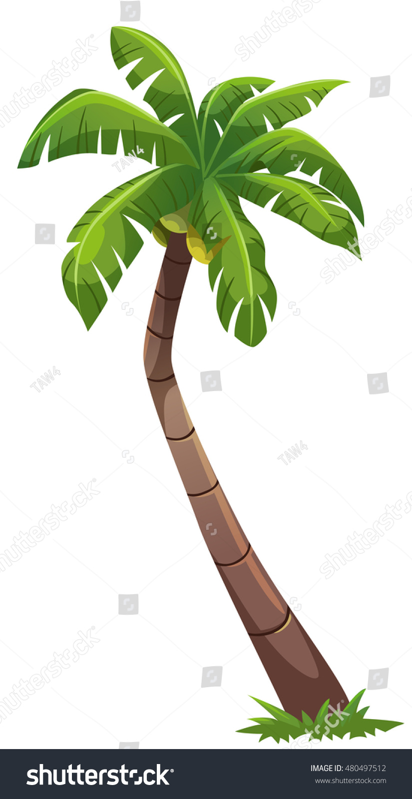 Coconut Tree Cartoon Style Vector Art Stock Vector (Royalty Free ...