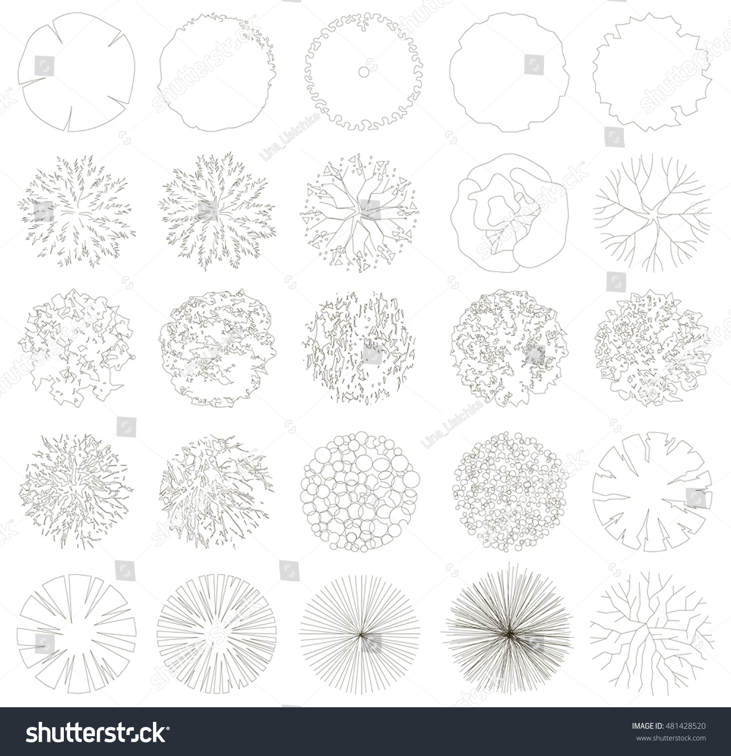 Trees Top View Vector Stock Vector (royalty Free) 481428520 