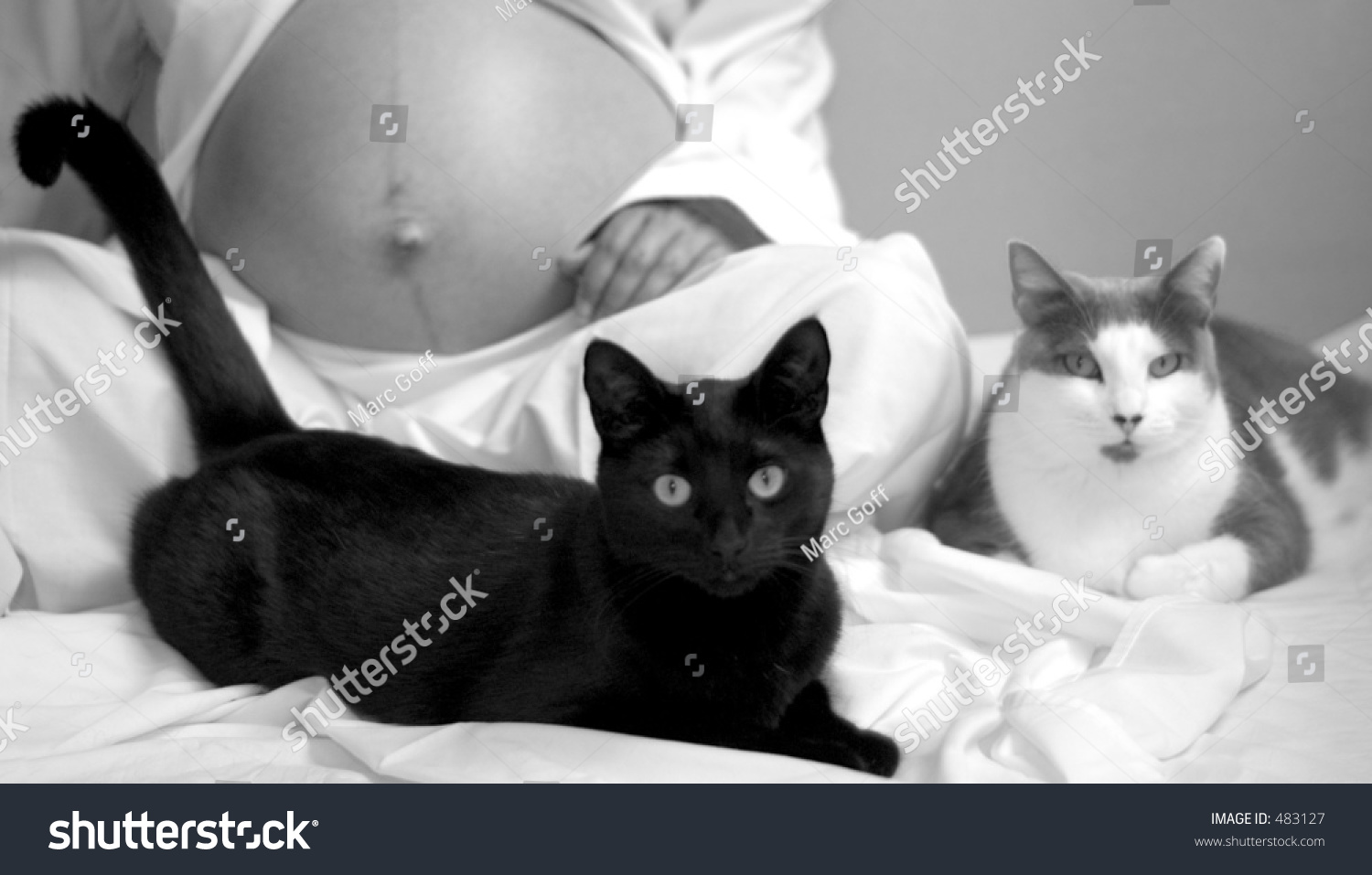 Беременные женщины с животными