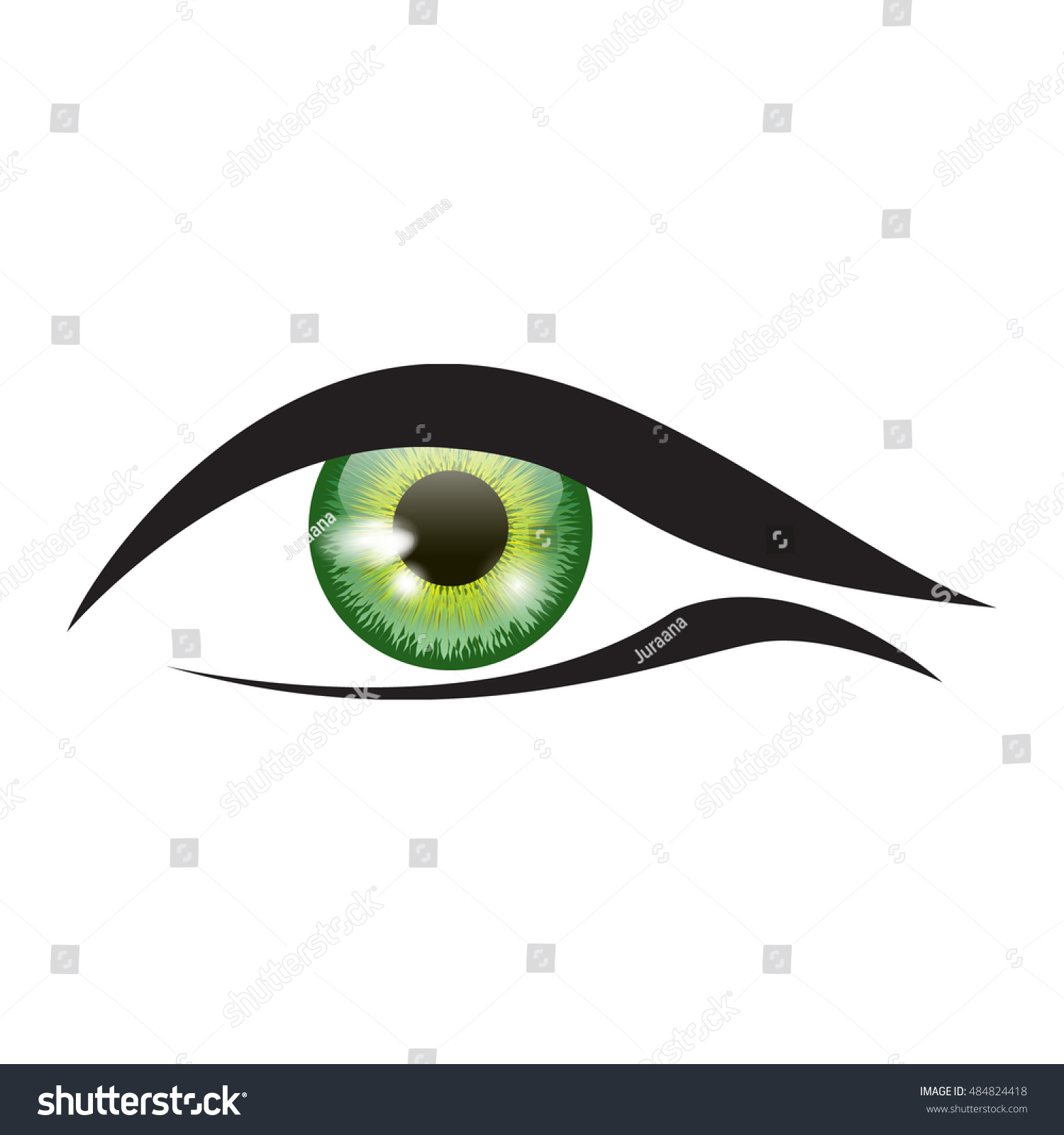 Green Eye Vector Stock Vector (Royalty Free) 484824418 | Shutterstock