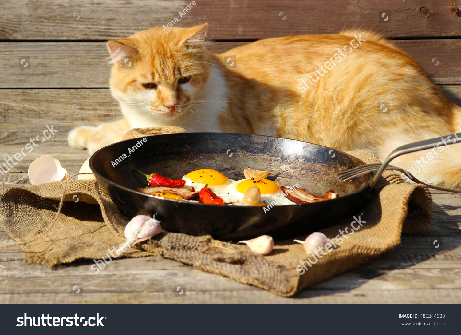 fried cats