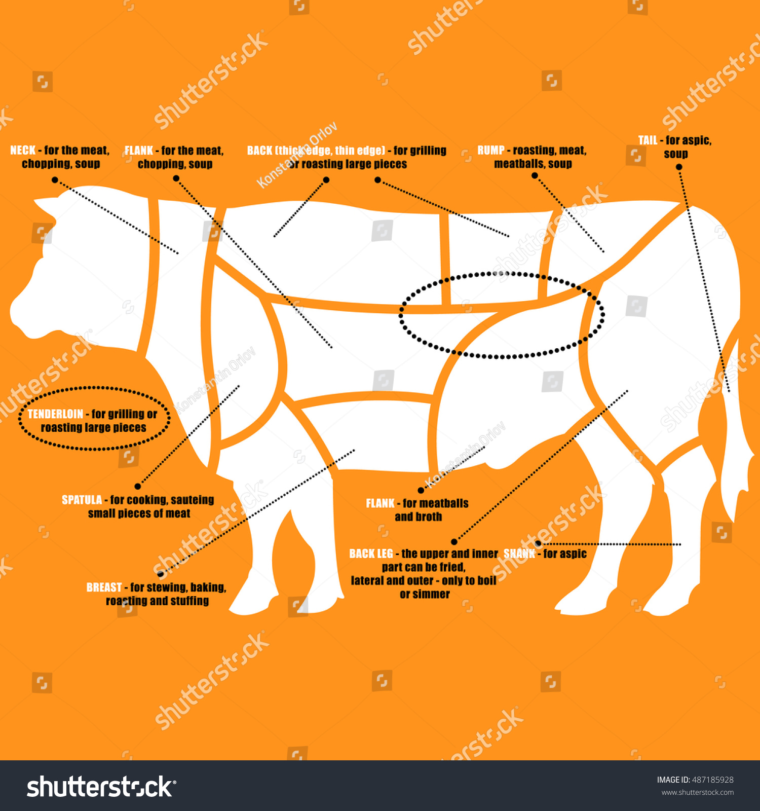 Vector Diagram Cuts Beef Stock Vector (Royalty Free) 487185928