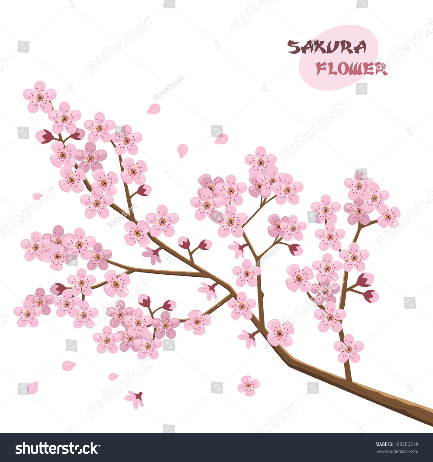 Sakura Flowers Japanese Cherry Tree Stock Vector (Royalty Free ...