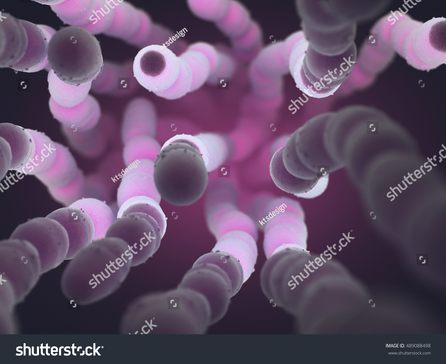 3d Illustration Streptococcus Pneumoniae Pneumococcus Grampositive Stock Illustration 489088498 4282