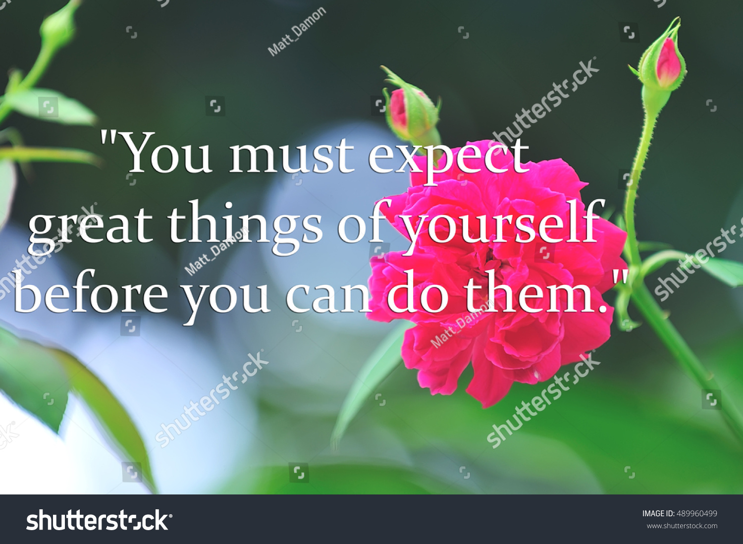 Photo Motivational Quote Red Flower Background Stock Photo 489960499 