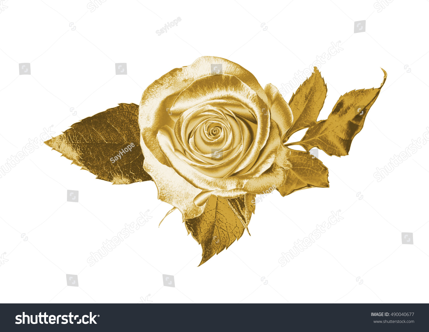 Golden Rose Stock Photo 490040677 | Shutterstock