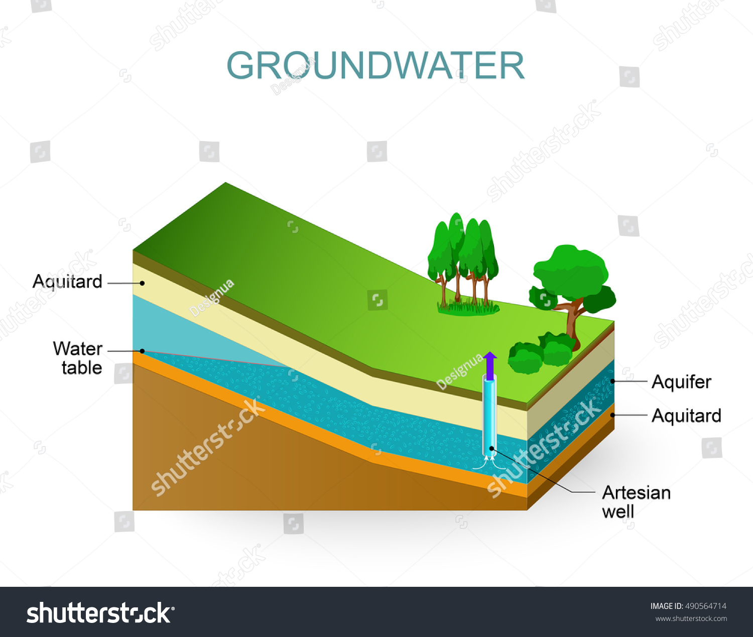 Groundwater Artesian Aquifer Water Table Stock Illustration 490564714 ...