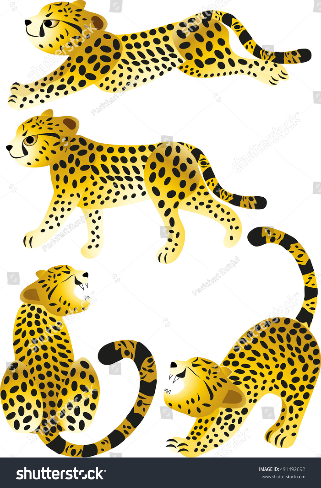 Cheetah Stock Vector (Royalty Free) 491492692 | Shutterstock