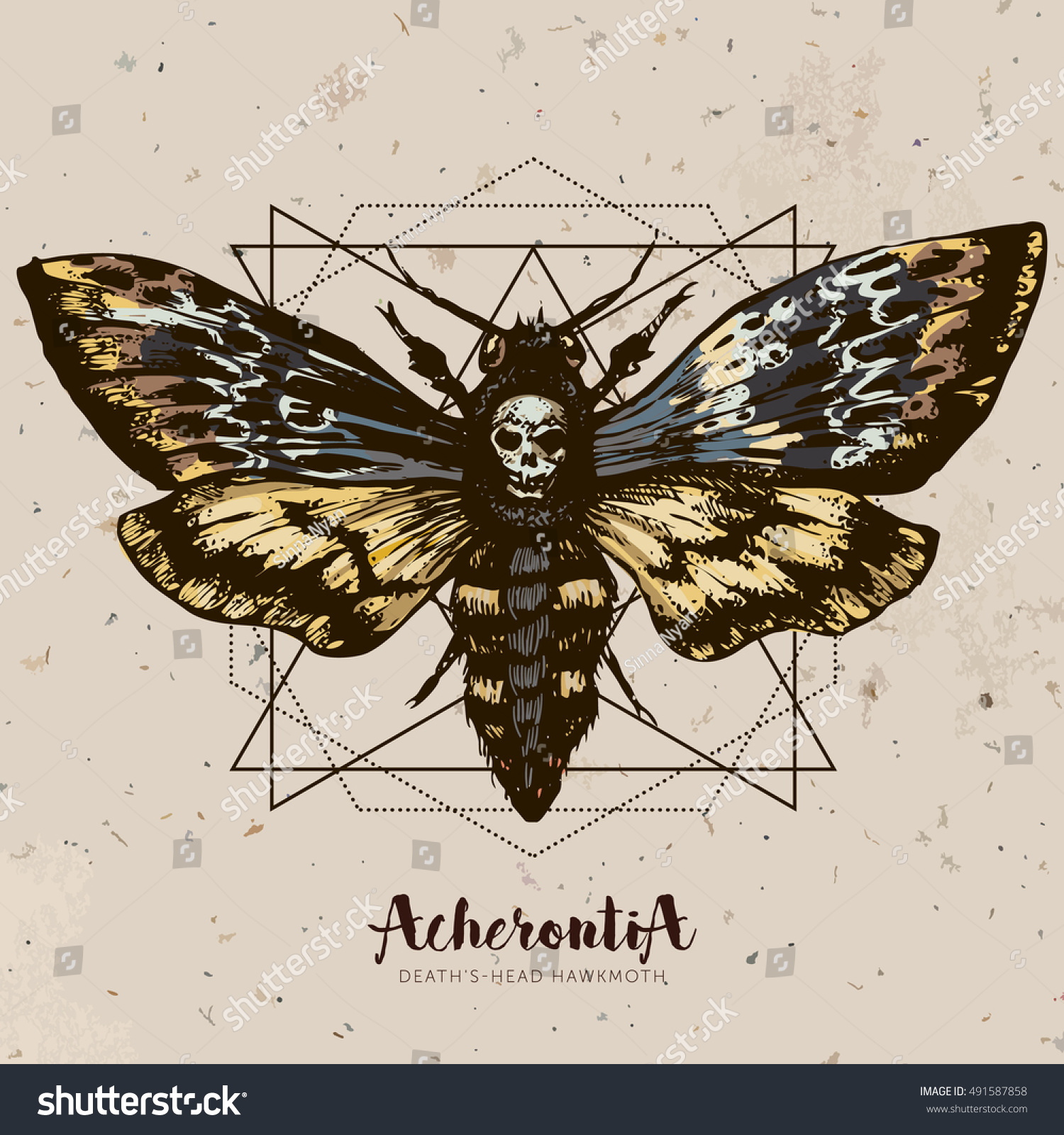 Vektor Stok Deathshead Hawk Moth Sacred Geometry Lines (Tanpa Royalti) 4915...