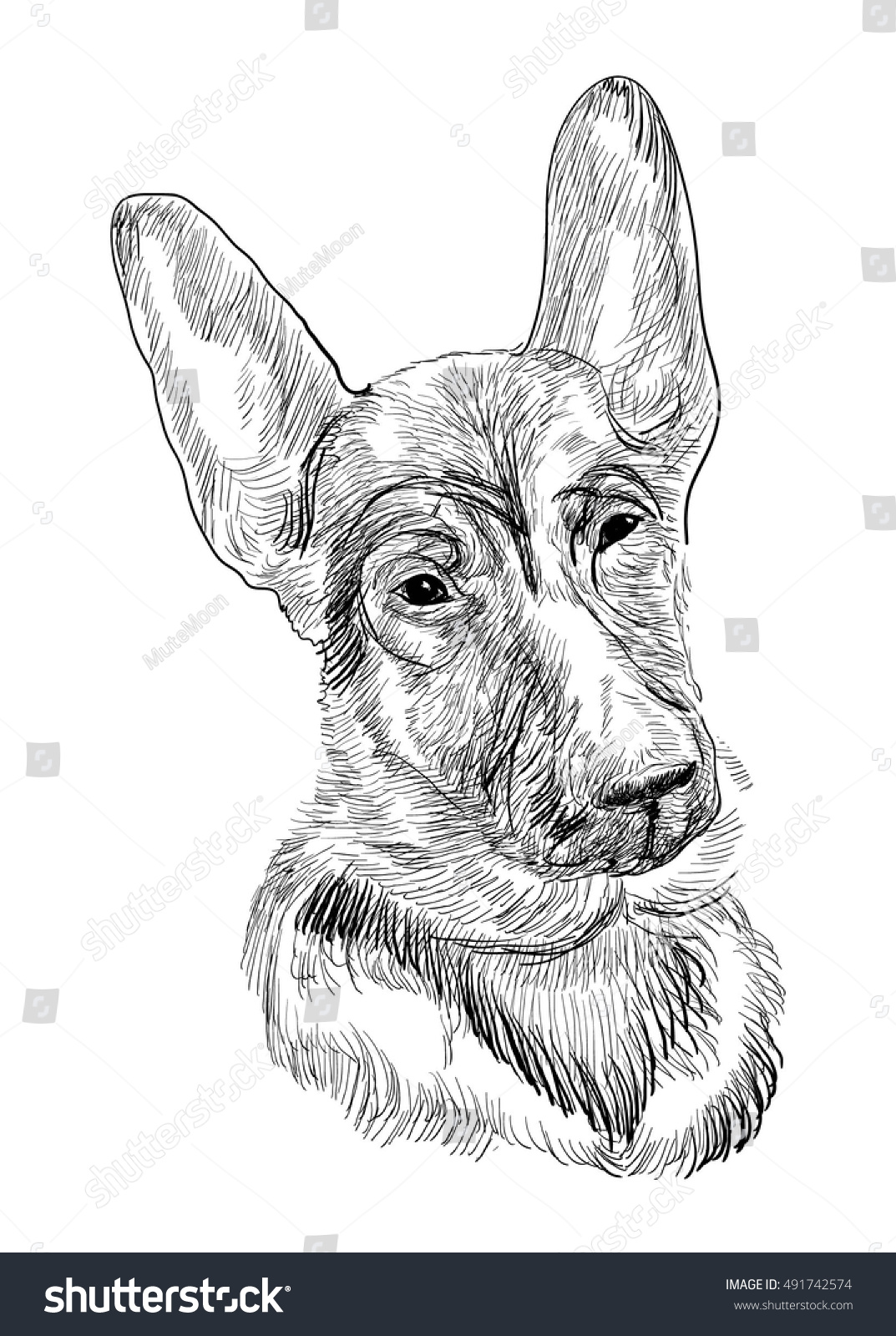 German Shepherd Black White Vector Illustration Stock Vector (Royalty ...