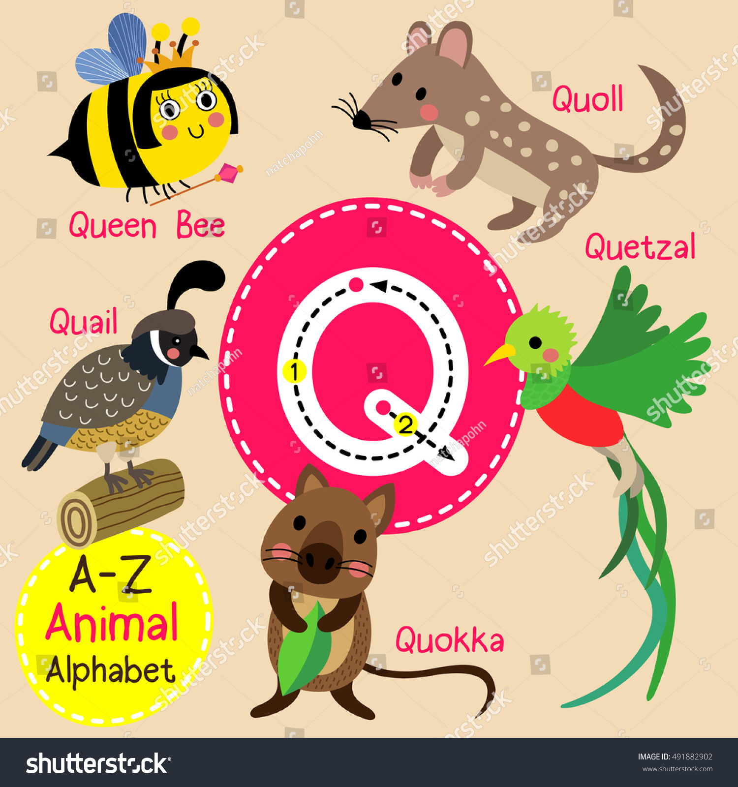 Cute Children Zoo Alphabet Q Letter Stock Vector (Royalty Free ...