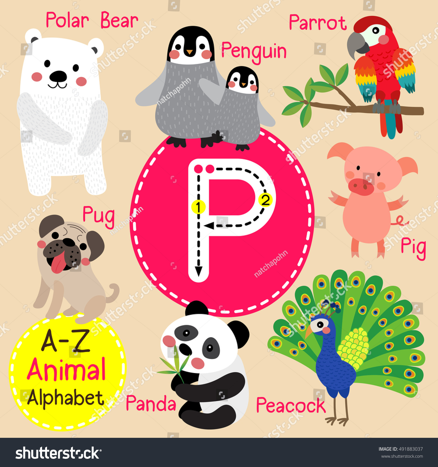 Cute Children Zoo Alphabet P Letter Stock Vector (Royalty Free ...