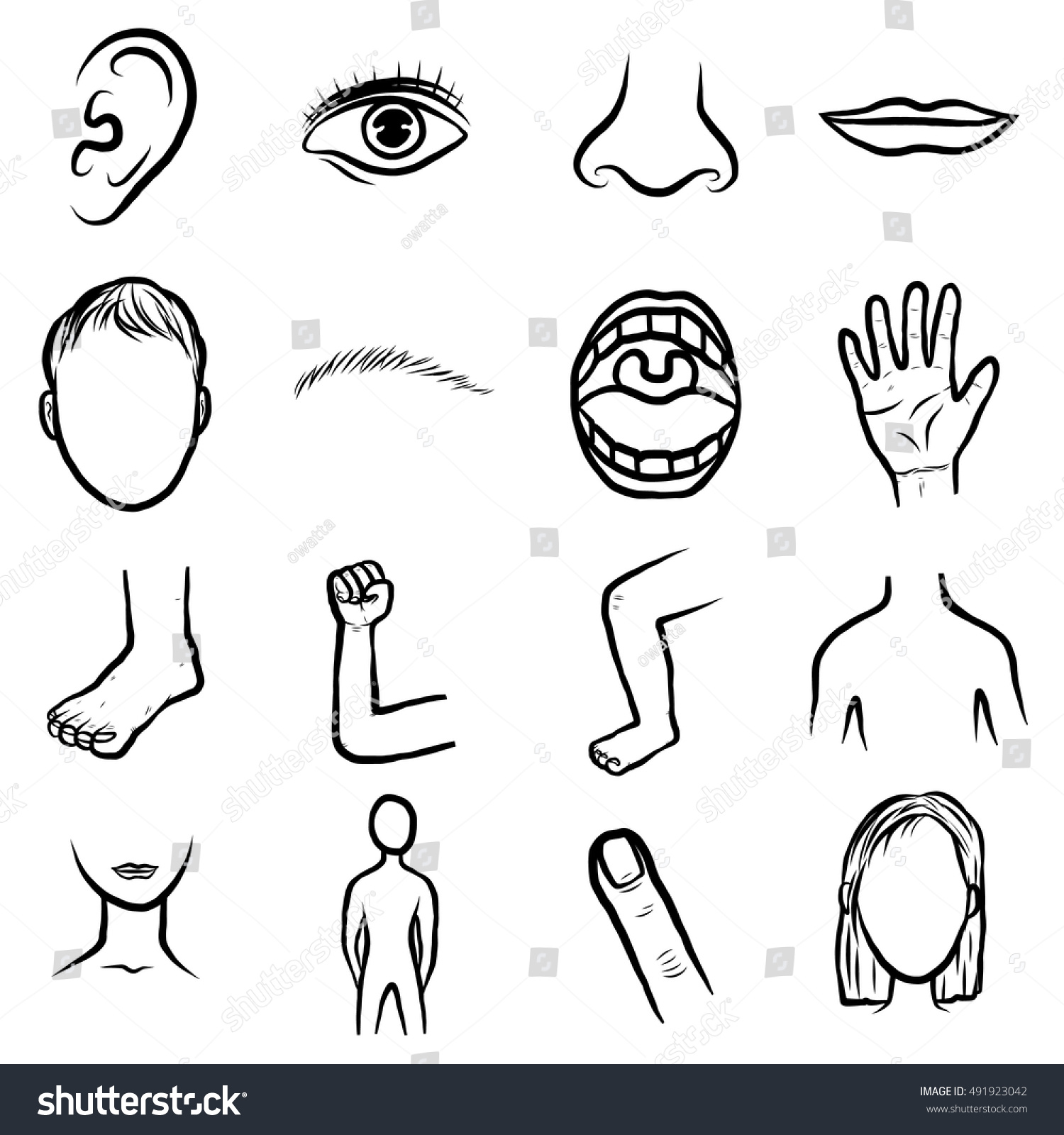 Части тела раскраска для детей распечатать Parts Of The Body Shutterstock