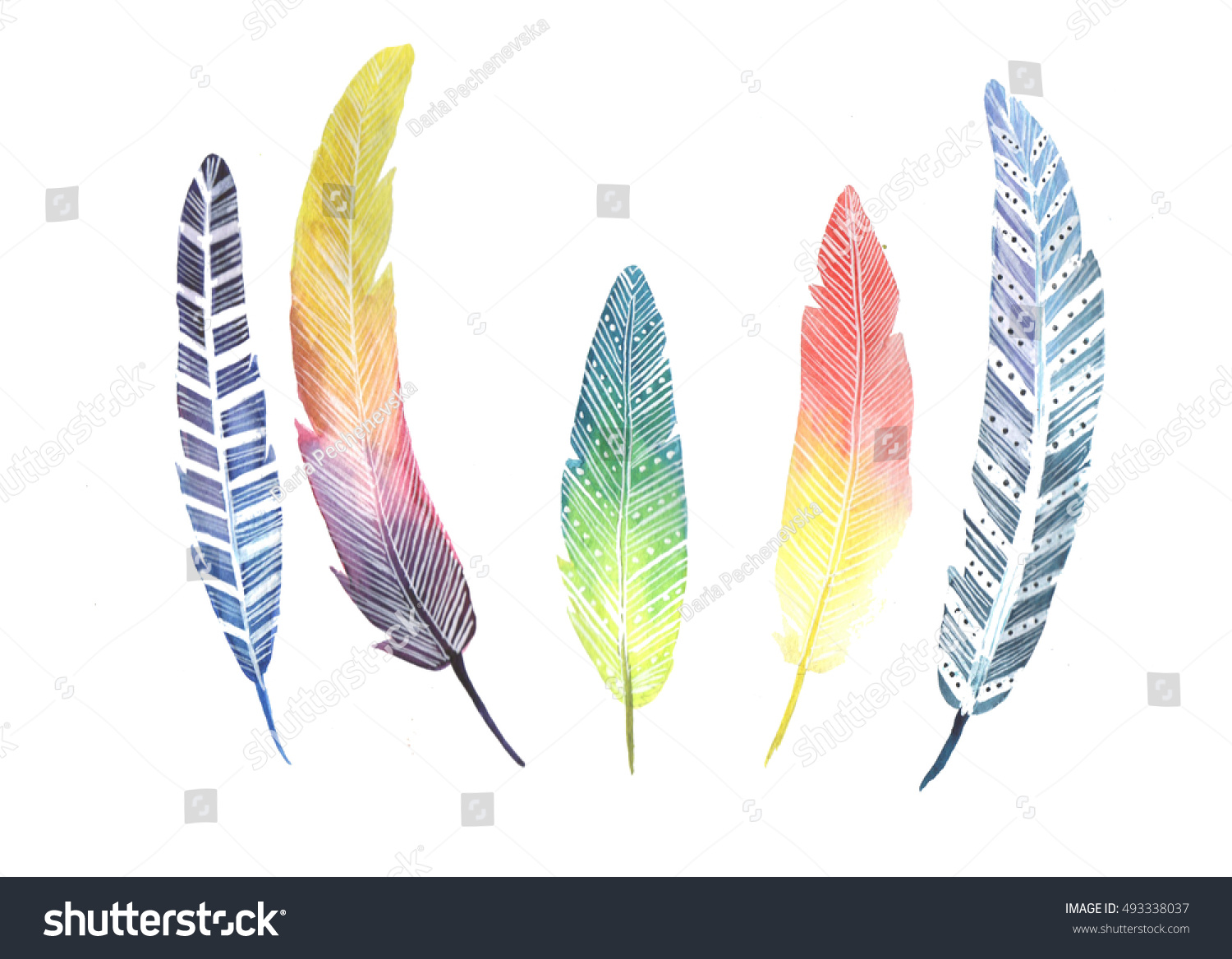 Птица с разноцветными перьями