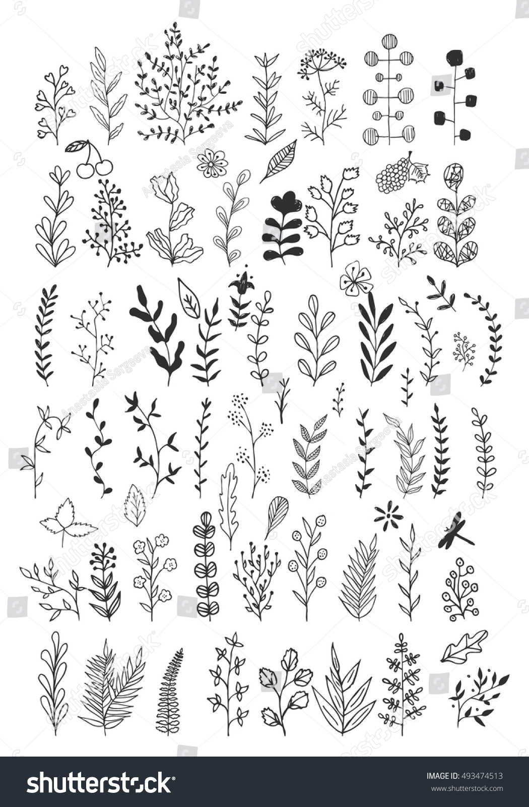 Hand Drawn Pencil Flowers Leaves Herbs Stock Vector (Royalty Free ...