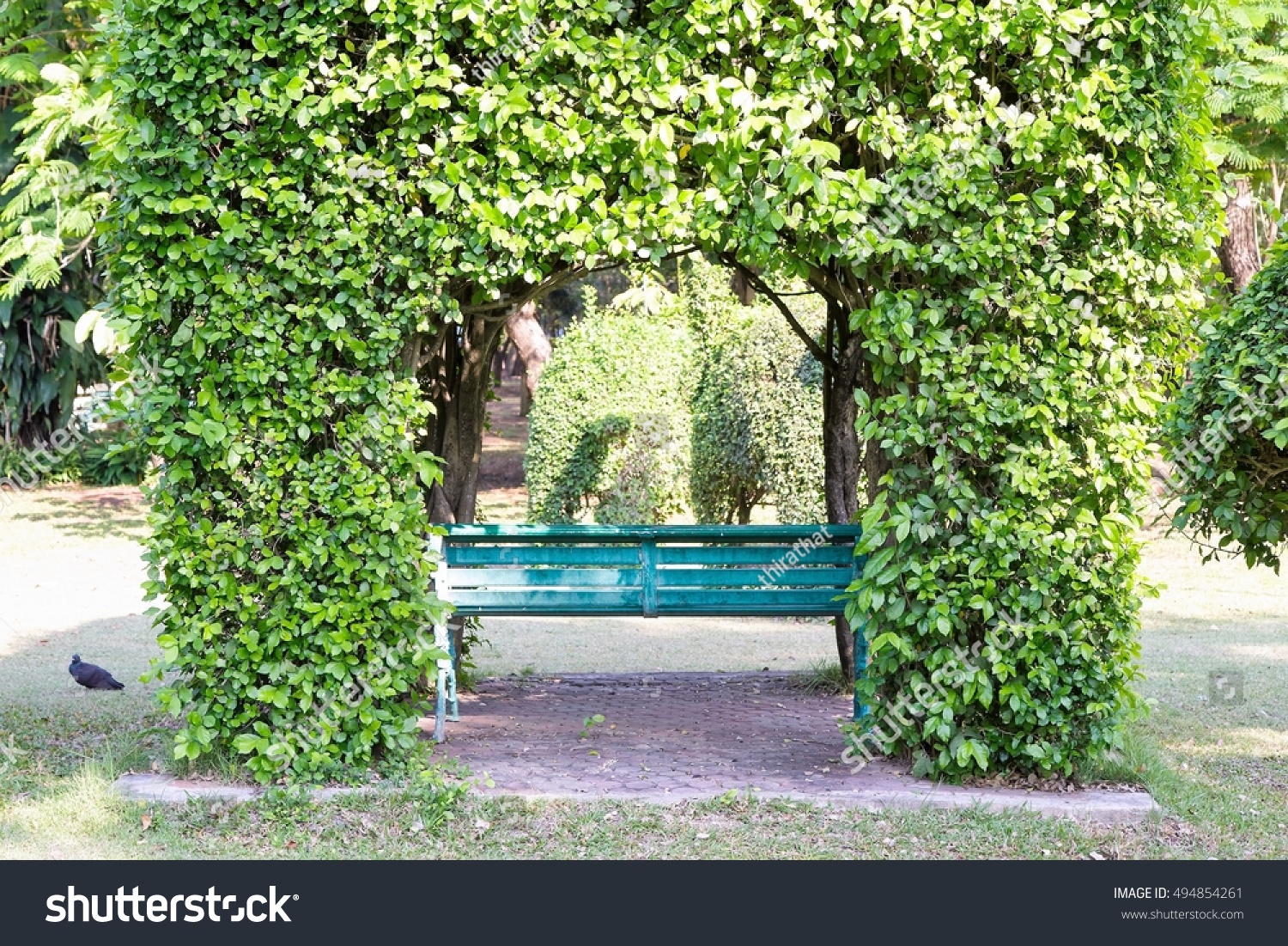 Pathway Bench Beautiful Leafy Landscape Garden Stock Photo 494854261 ...