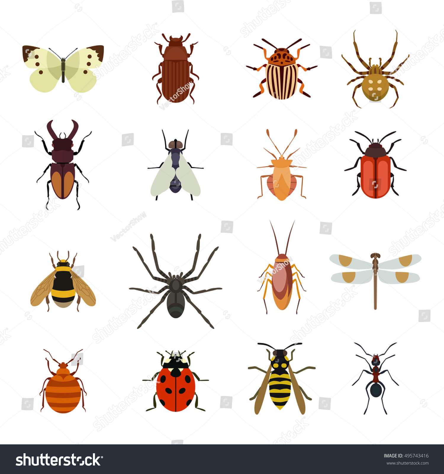 Insect Vector Icons Flat Set Isolated Stock Vector (Royalty Free ...