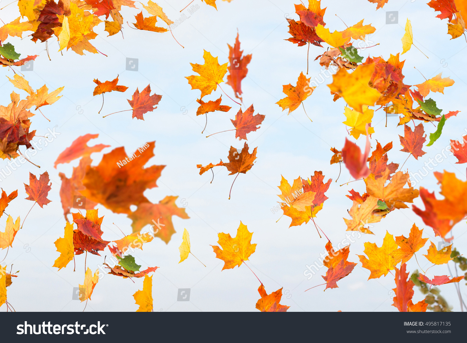 Падающие цветные листочки осенние
