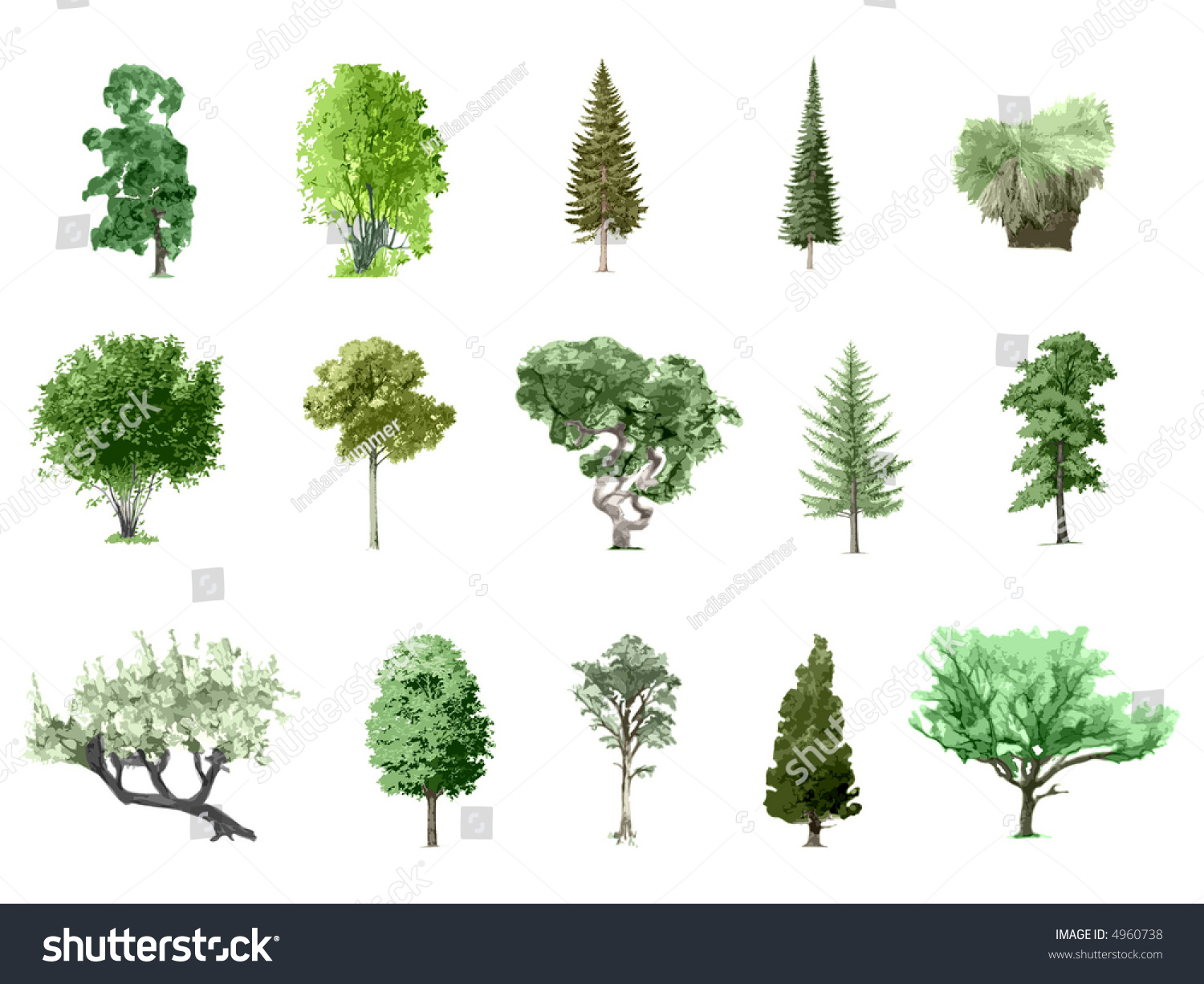 Painted Color Trees Collection 3 Isolated Stock Illustration 4960738 ...