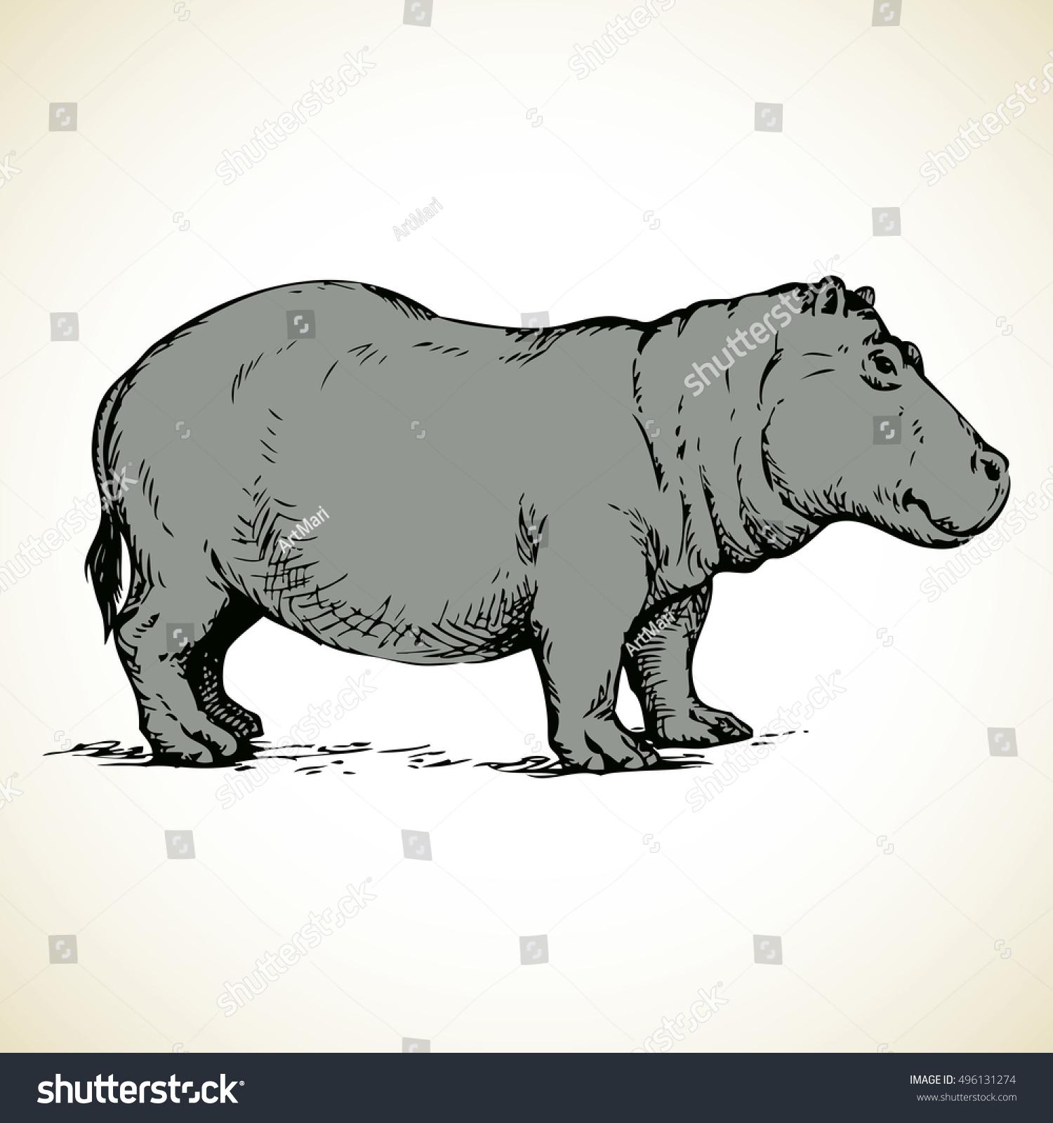 Hippopotamidae Isolated On White Background Freehand Stock Vector ...