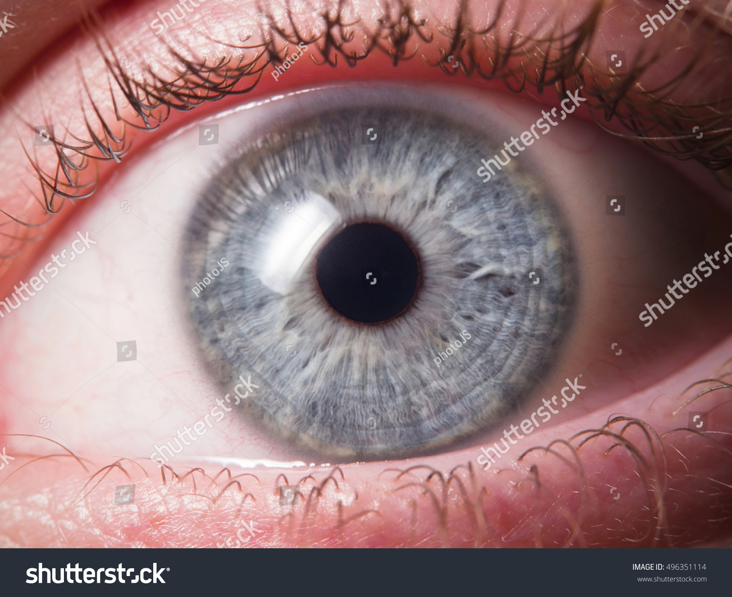 Find Human eye african stock images in HD and millions of other royalty-fre...