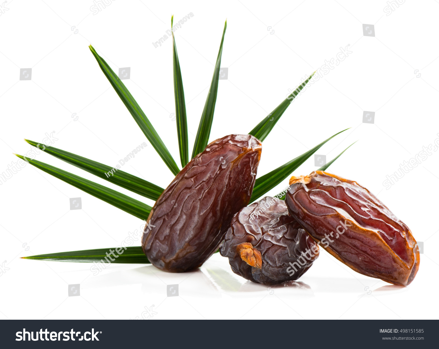 Close Three Big Dates Fruit Green Stock Photo 498151585 | Shutterstock