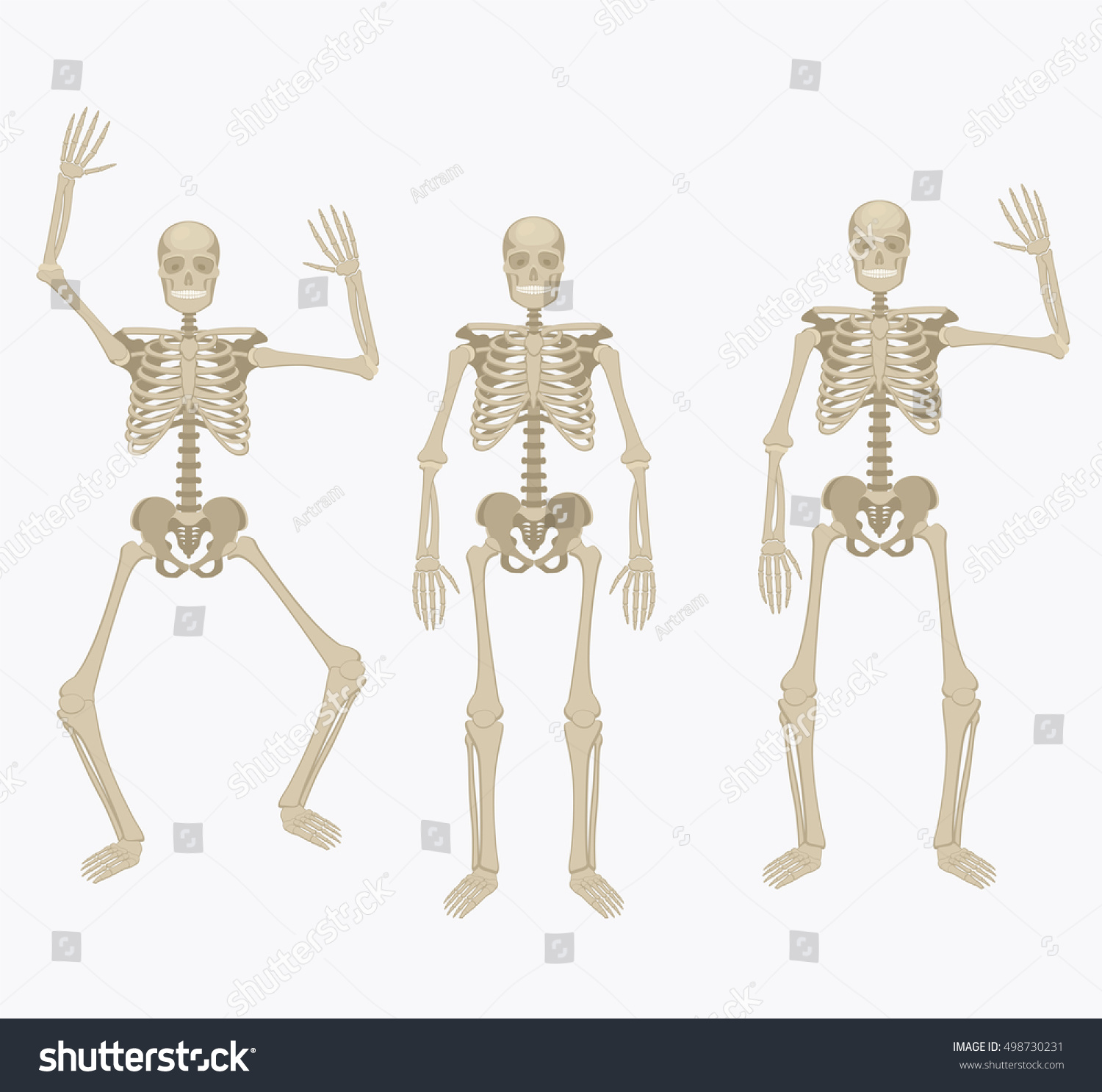 Human Skeleton Silhouette Skeleton Different Positions Stock Vector ...