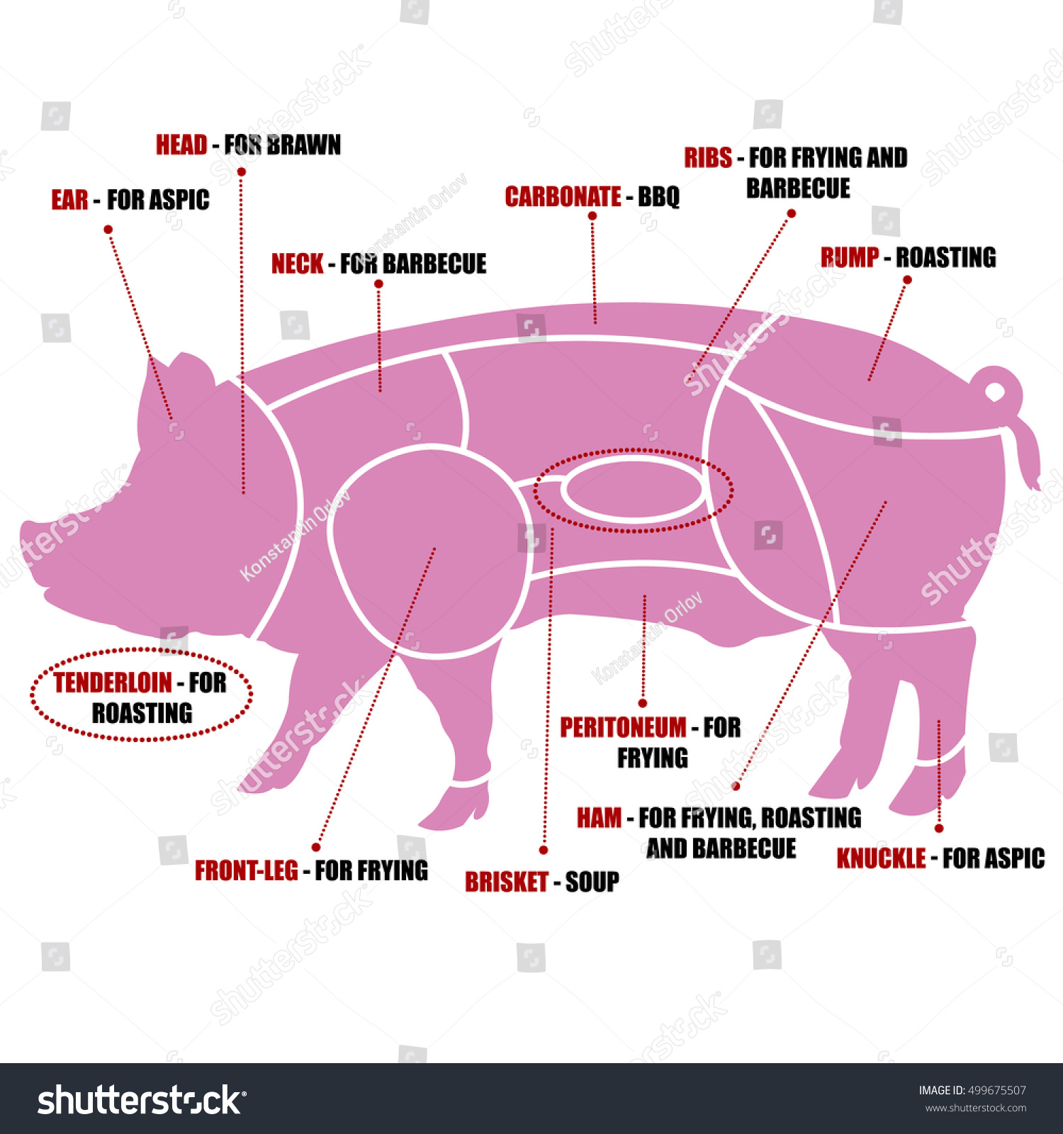 Vector Diagram Cutting Pork Stock Vector (Royalty Free) 499675507 ...