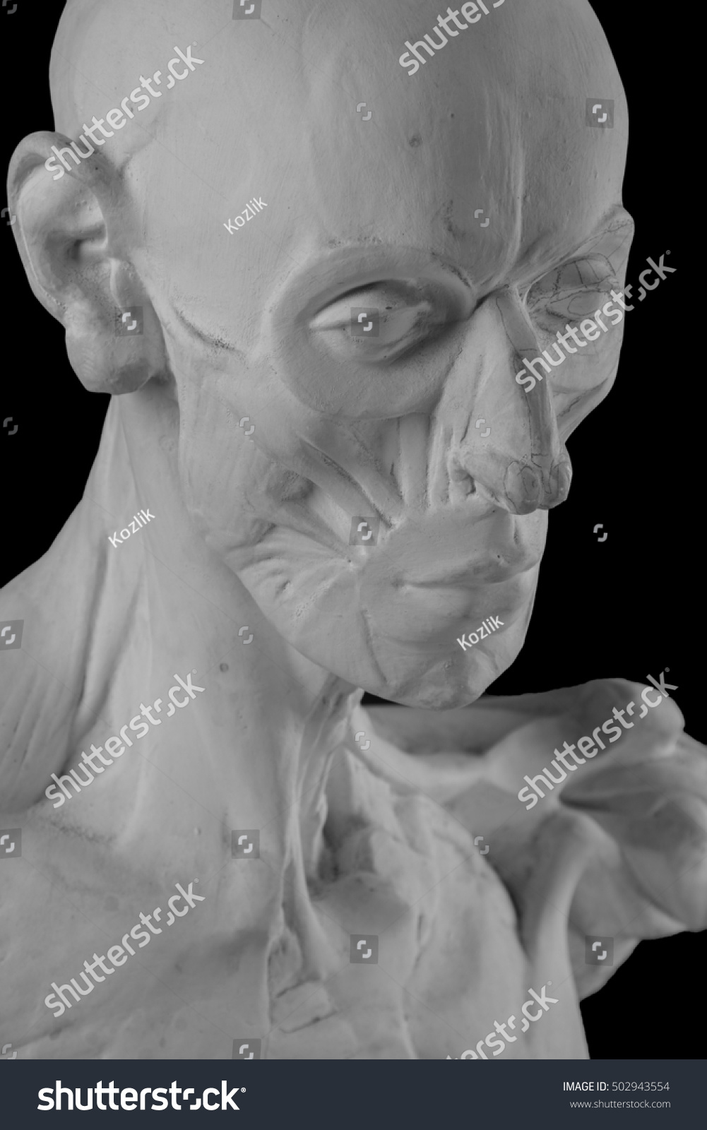 Plaster Statue Naked Anatomical Human Figure Stock Photo Shutterstock