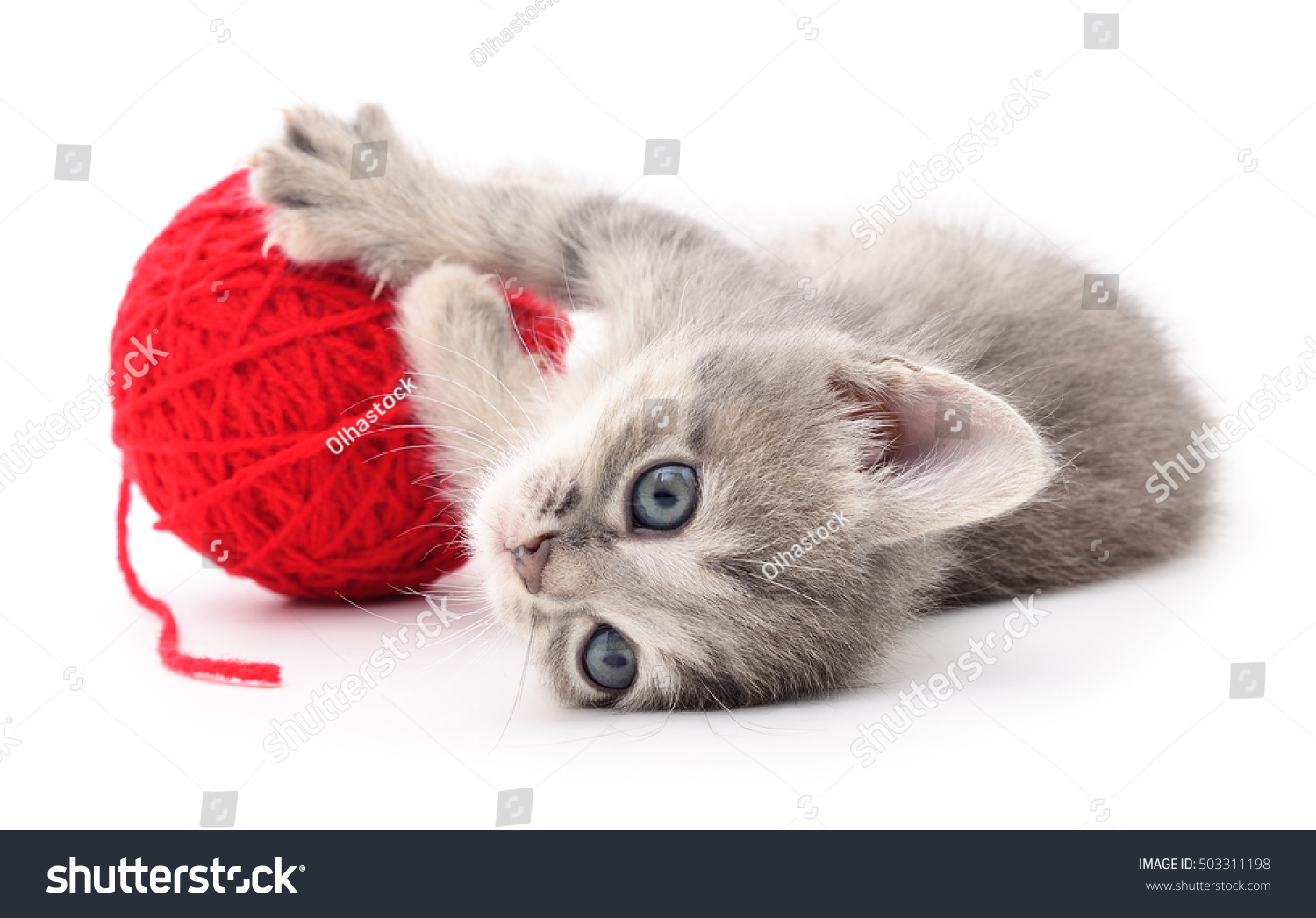 Кот играется с клубком