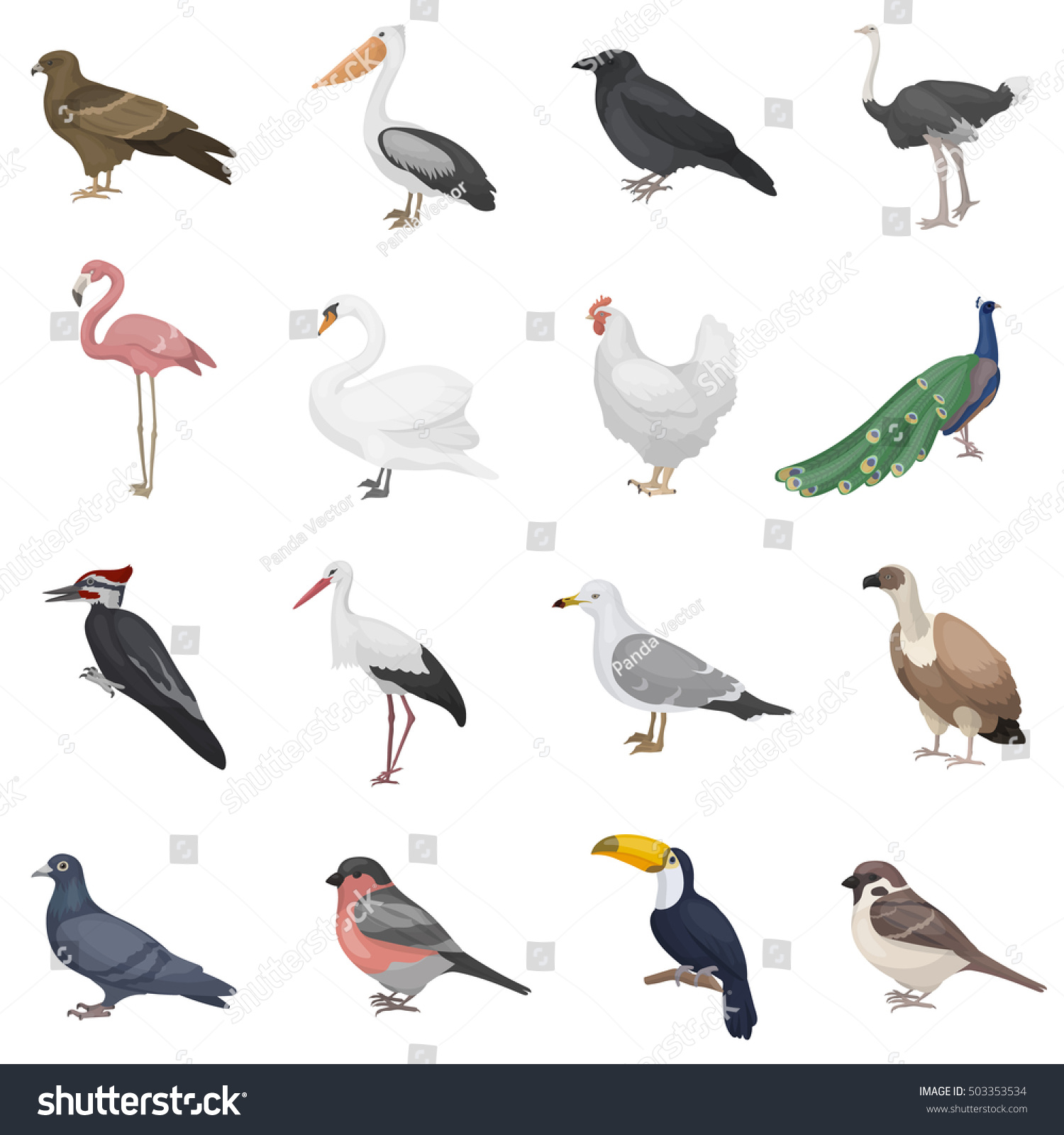 Bird set