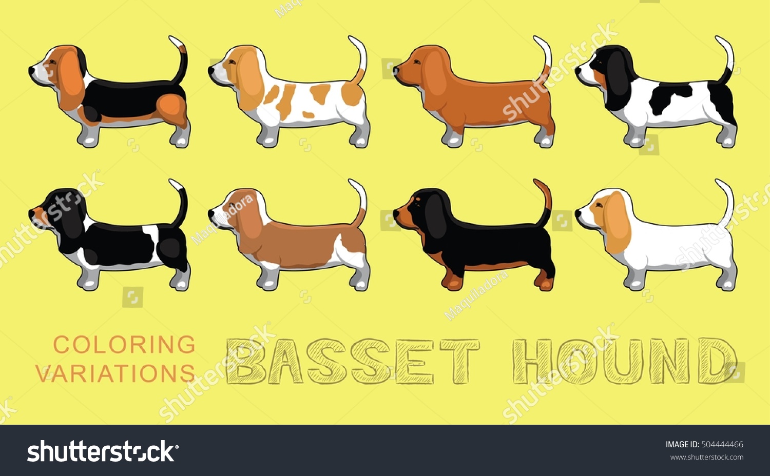 Dog Basset Hound Coloring Variations Vector Stock Vector (Royalty Free