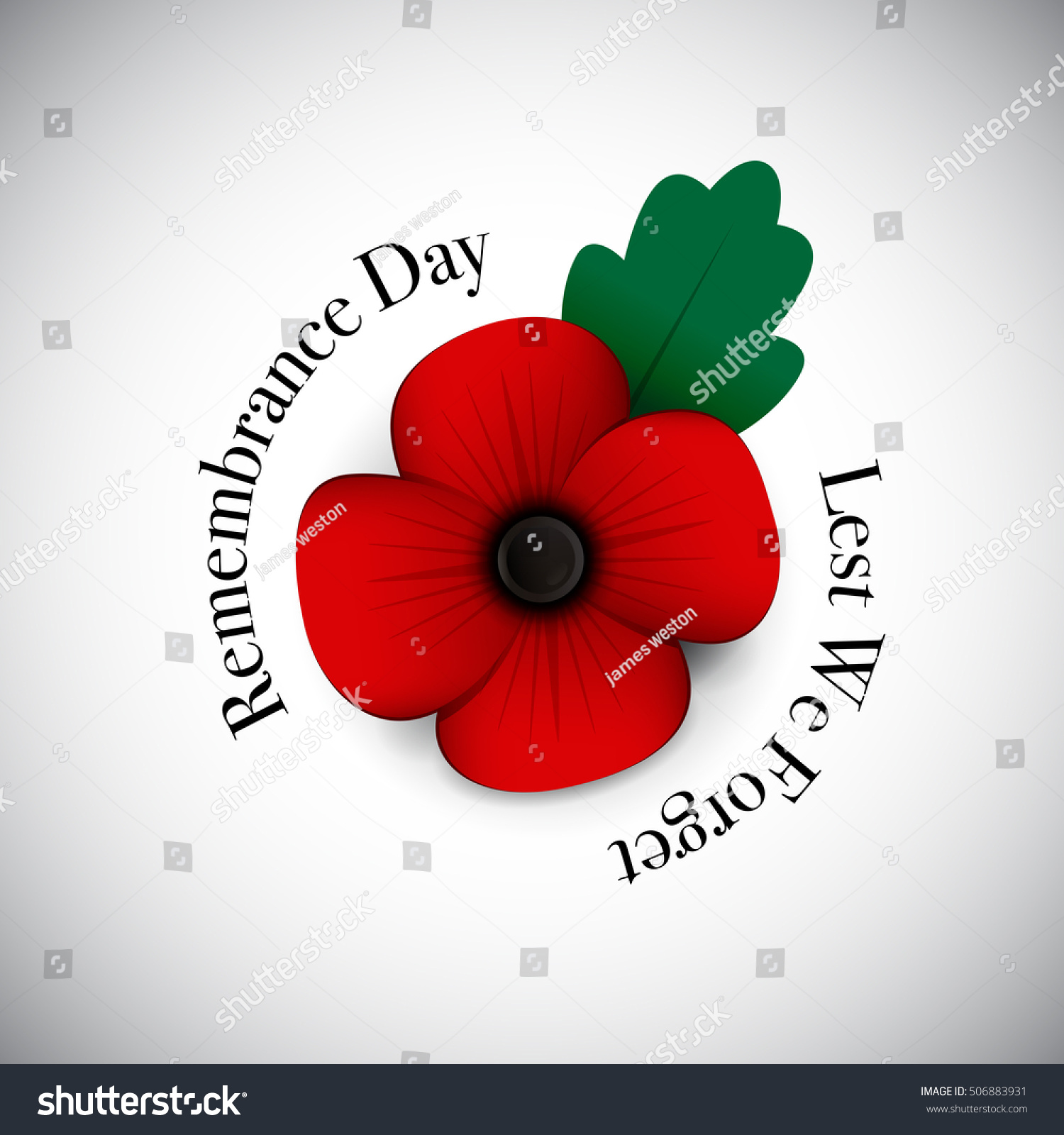 Single Poppy Background Stock Vector (Royalty Free) 506883931 ...