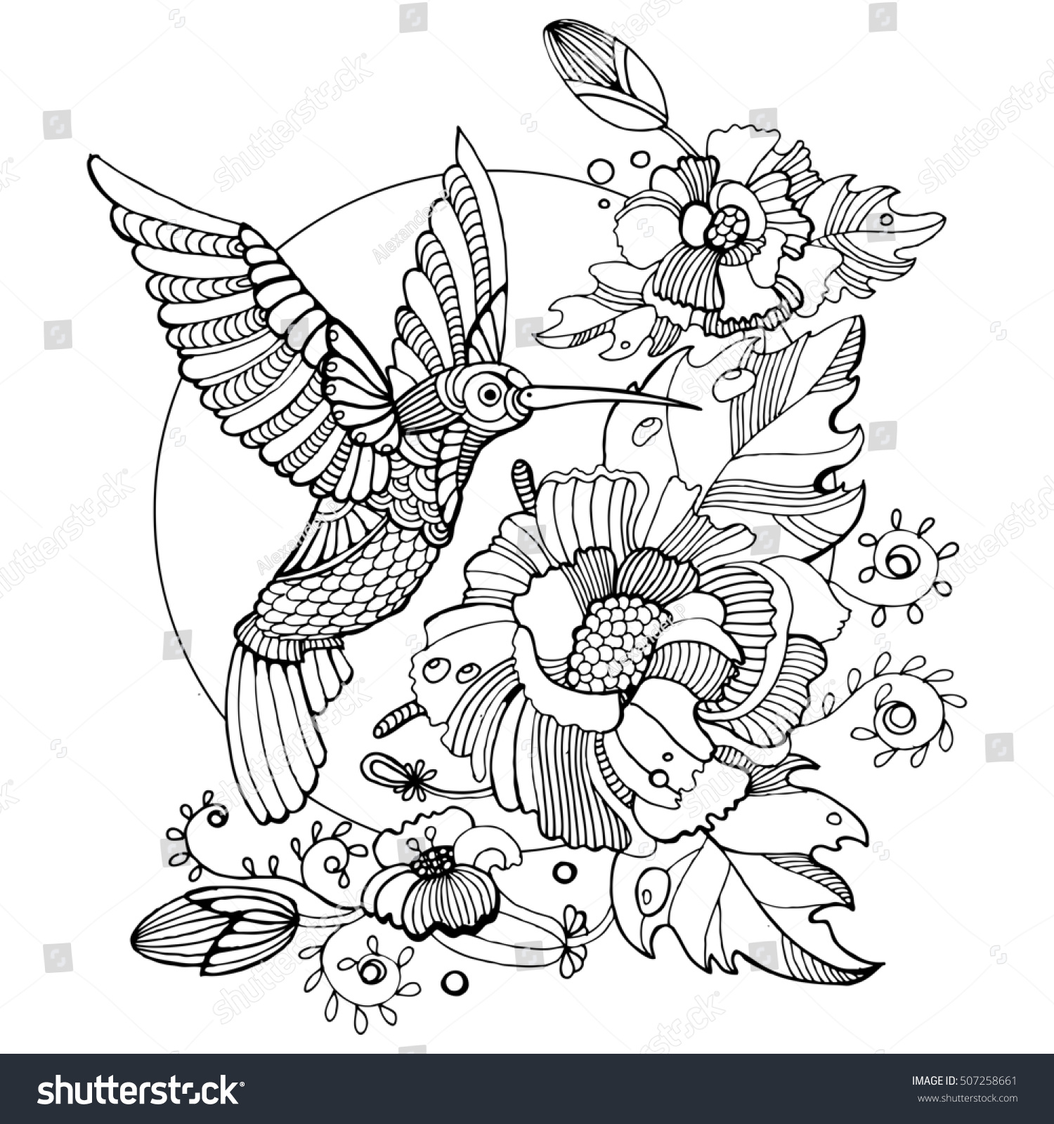 Hummingbird Colibri Coloring Book Adults Raster Stock Illustration ...