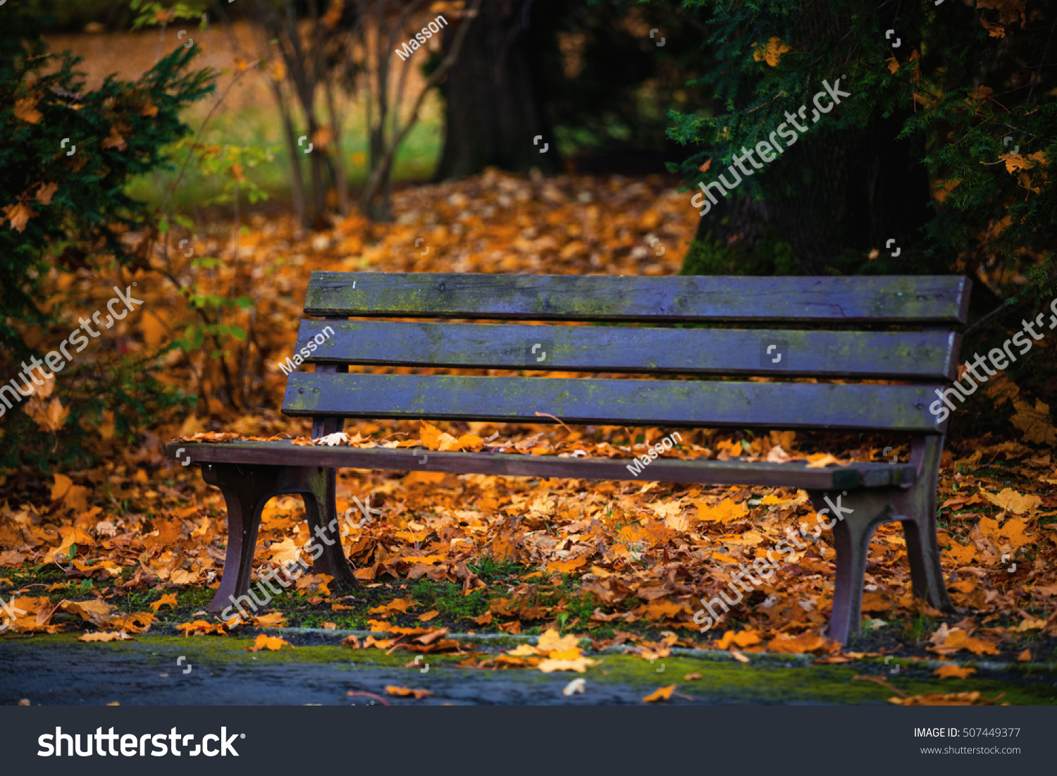 Old Bench Park Wroclaw Poland Stock Photo 507449377 | Shutterstock