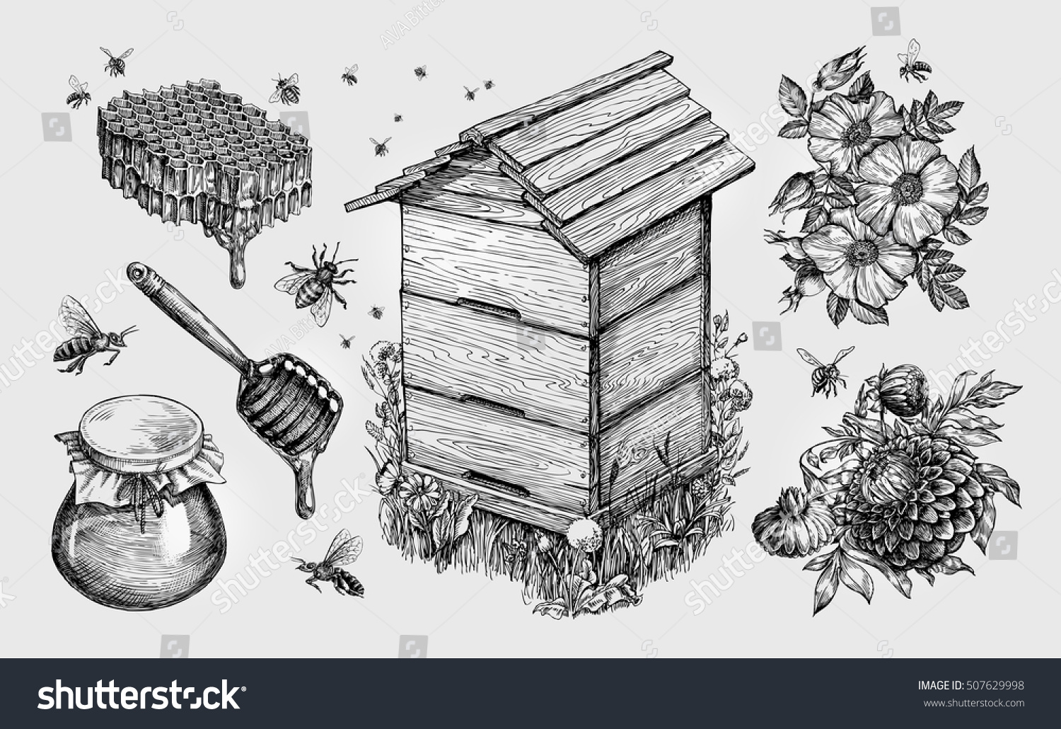 Пасека и Пчеловодство вектор