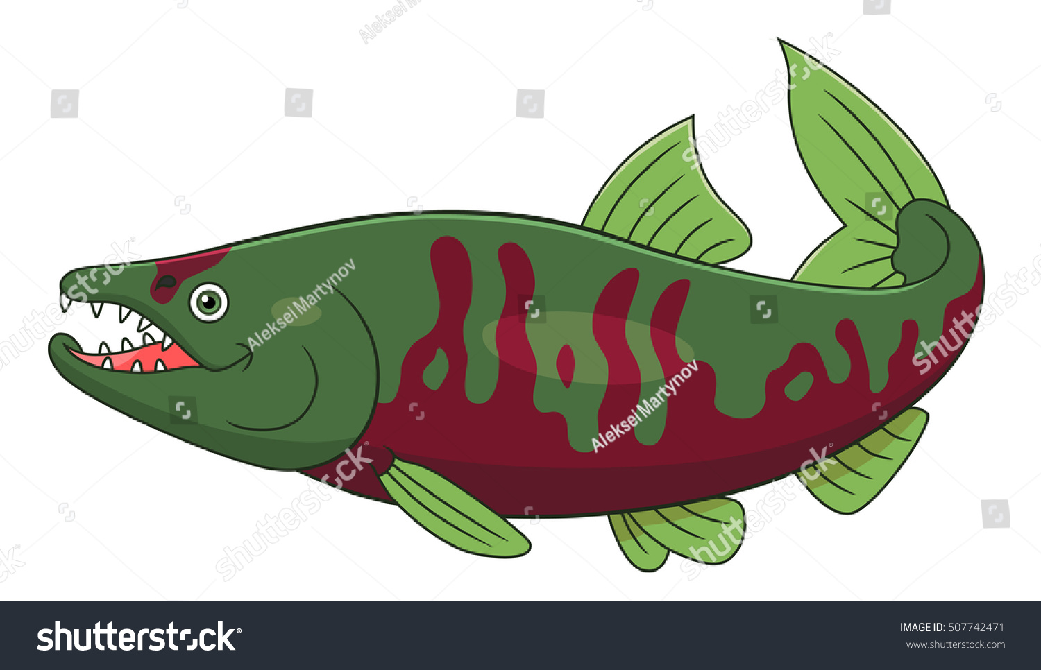 Salmon cartoon