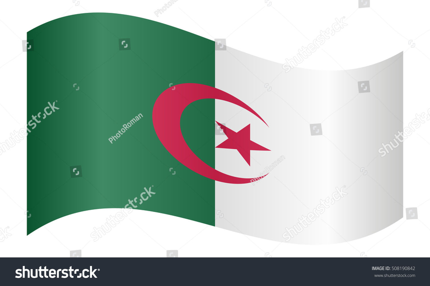 Algerian National Official Flag African Patriotic Stock Vector (Royalty ...