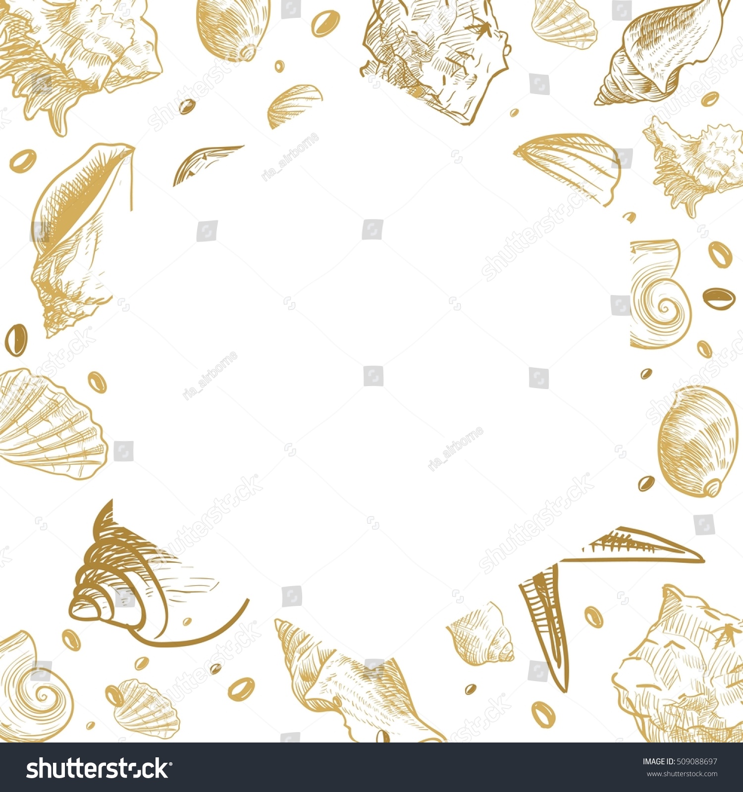 Ocean Theme Banner Background Sea Shells Stock Vector (Royalty Free ...