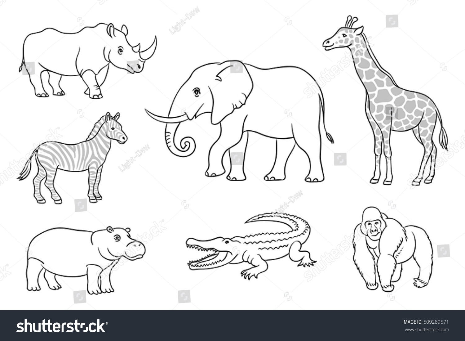 Контуры животных разных континентов