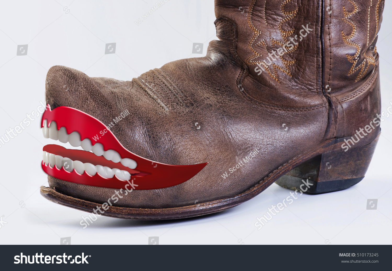 crazy cowboy boots