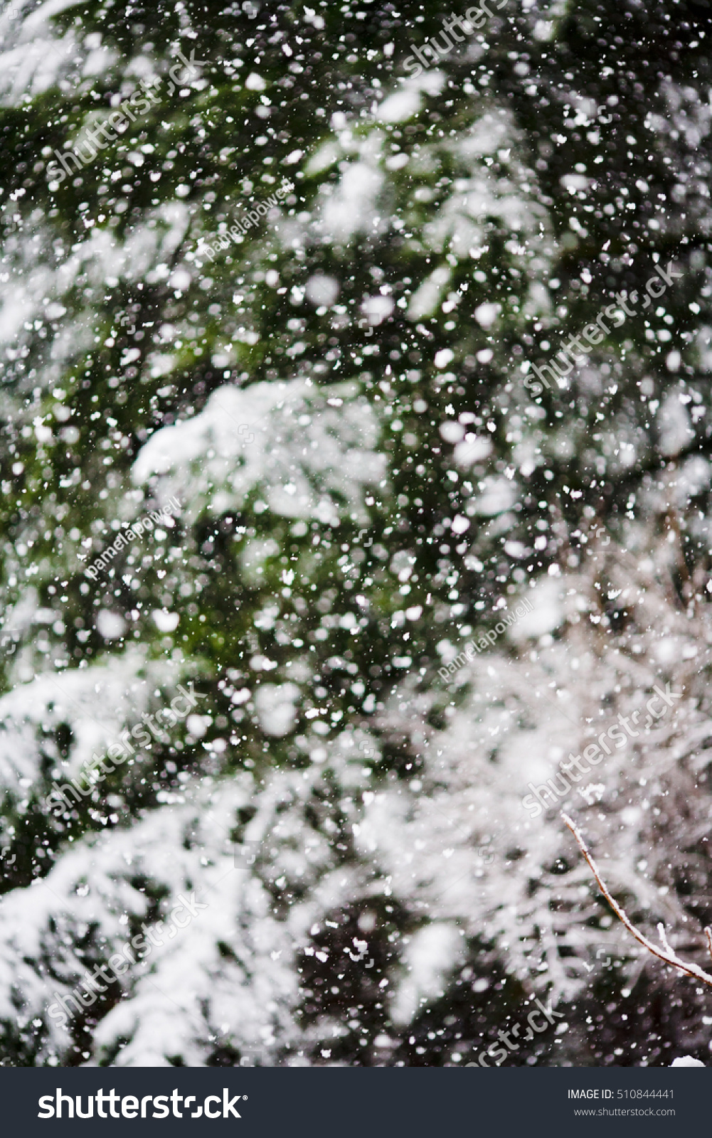 Abstract Background Snow Falling Heavily Evergreen Stock Photo 