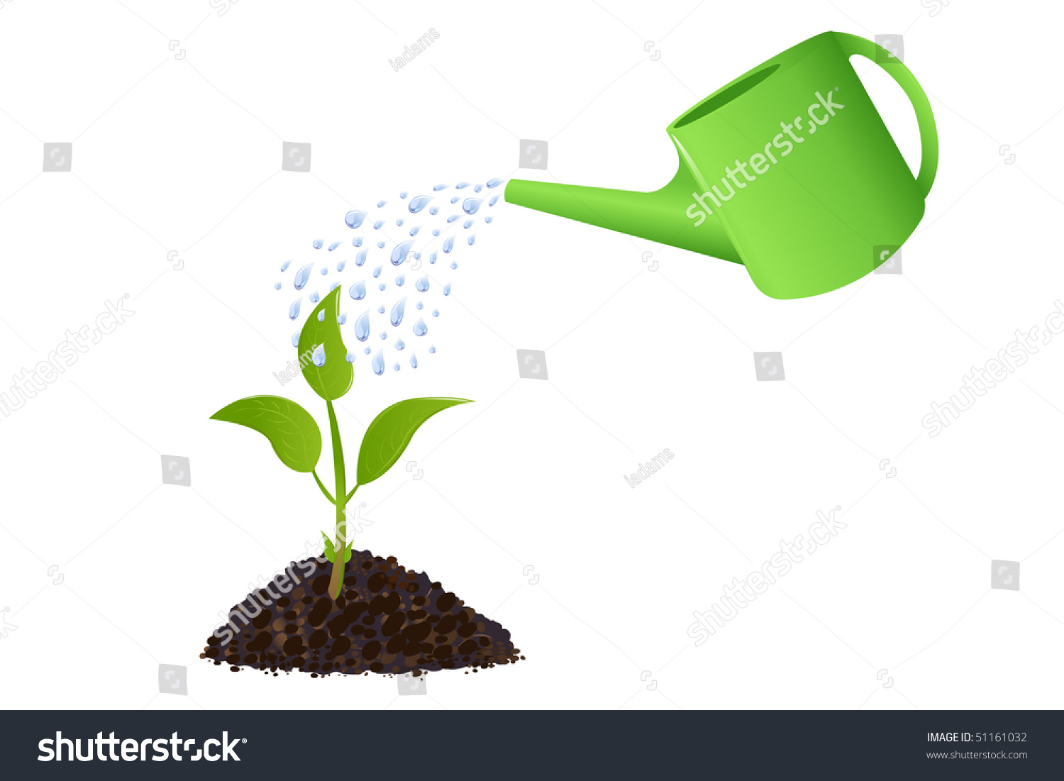 Young Plant Watering Can Water Drops Stock Vector (Royalty Free ...