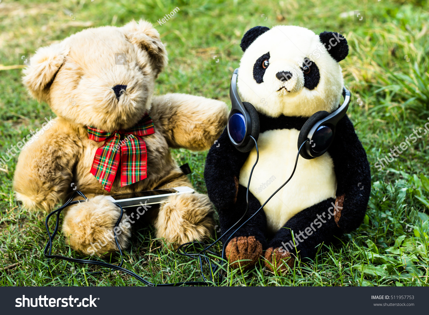 teddy and panda