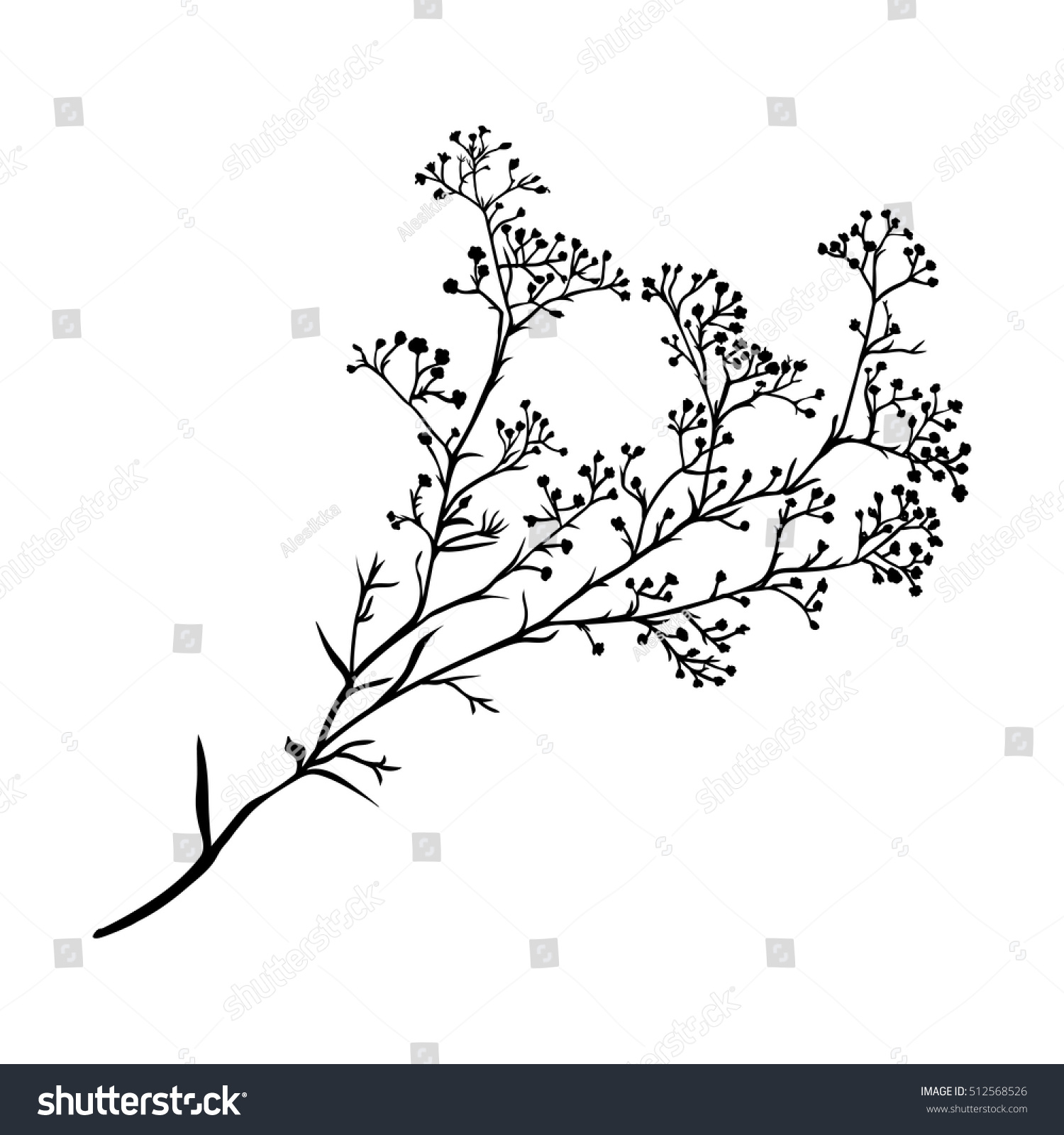 Branch Beautiful Handdrawn Silhouette Gypsophila Black Stock Vector ...